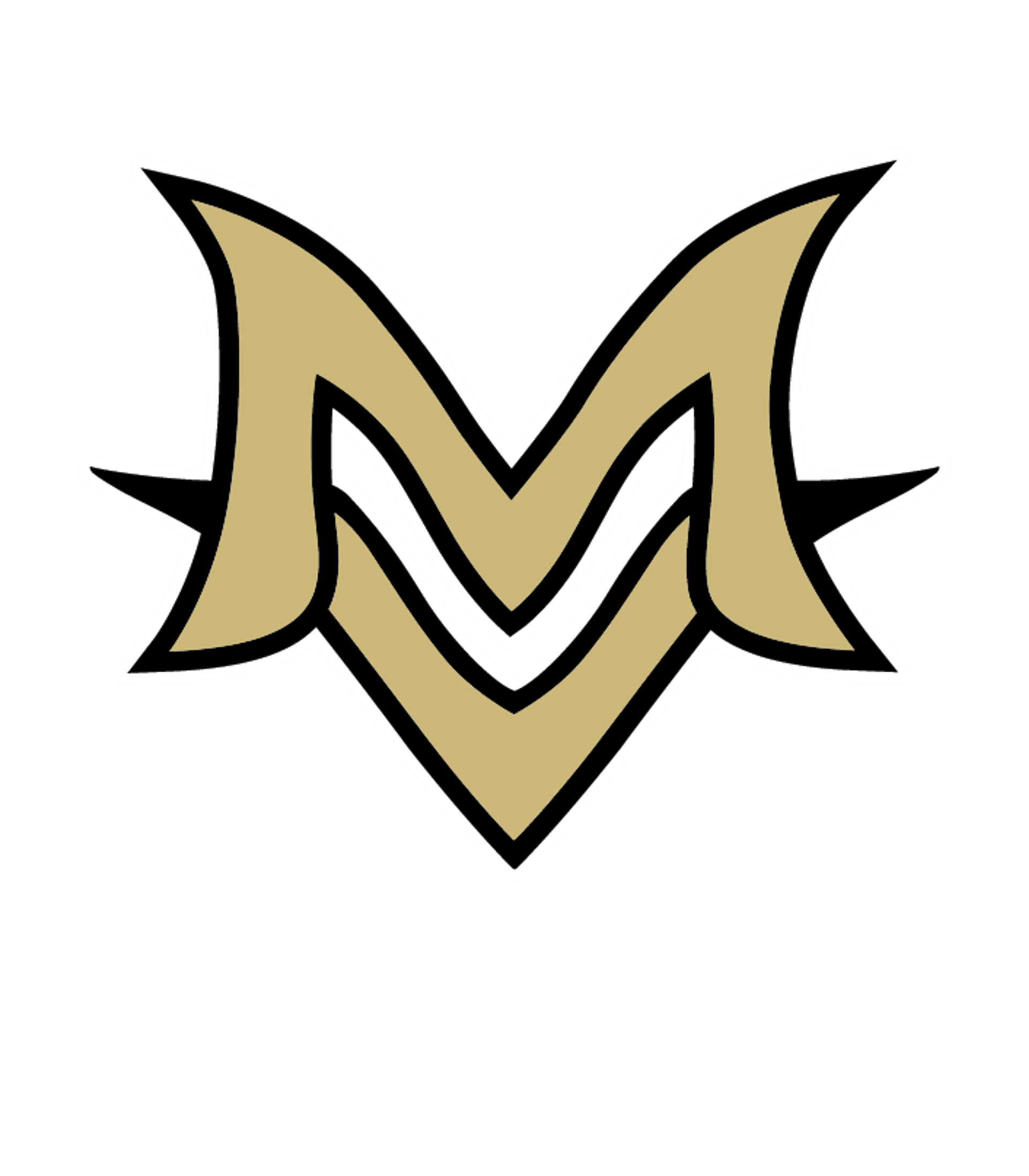 Mt Vernon High School Logo