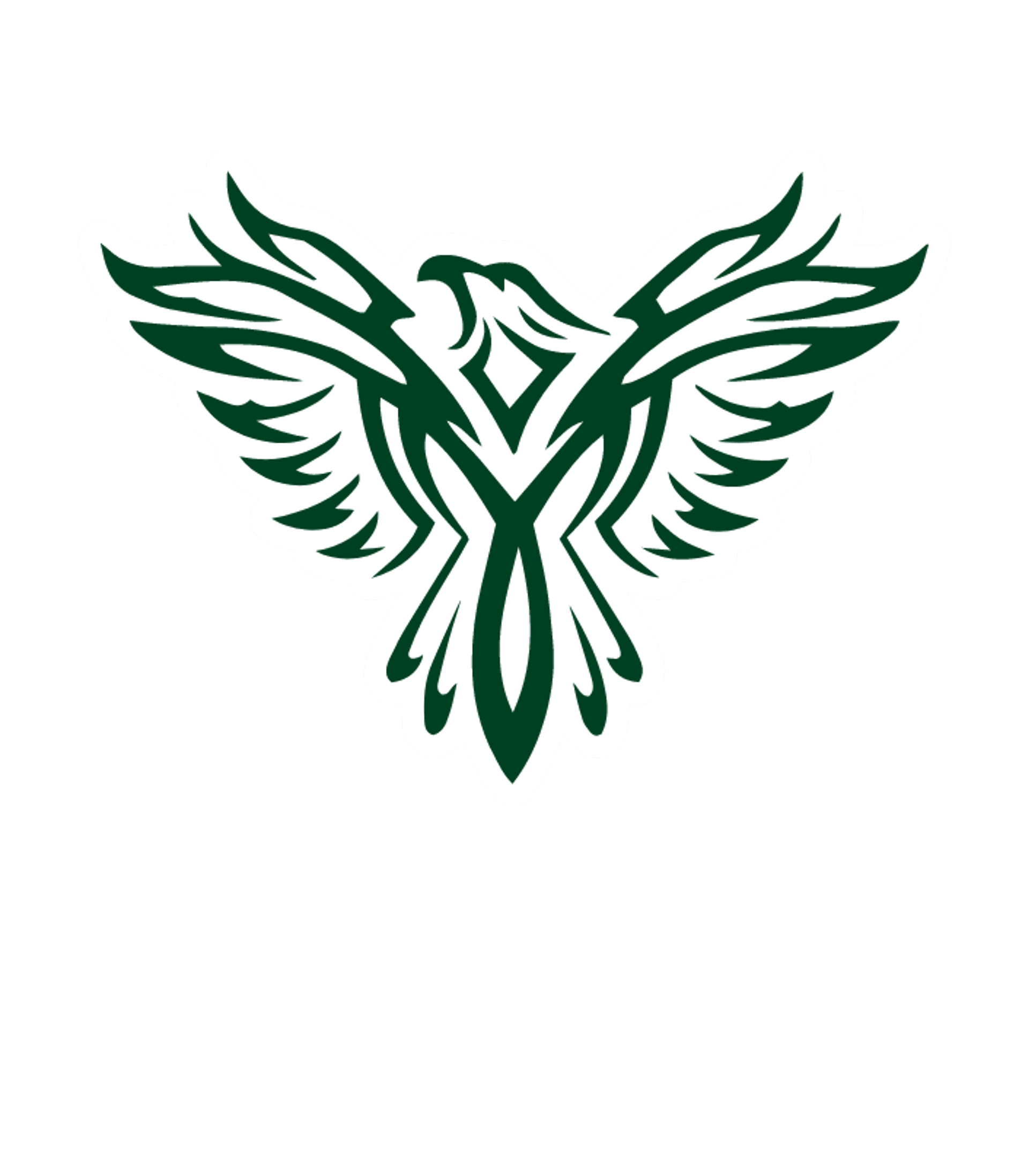 Multicultural Arts High School Logo