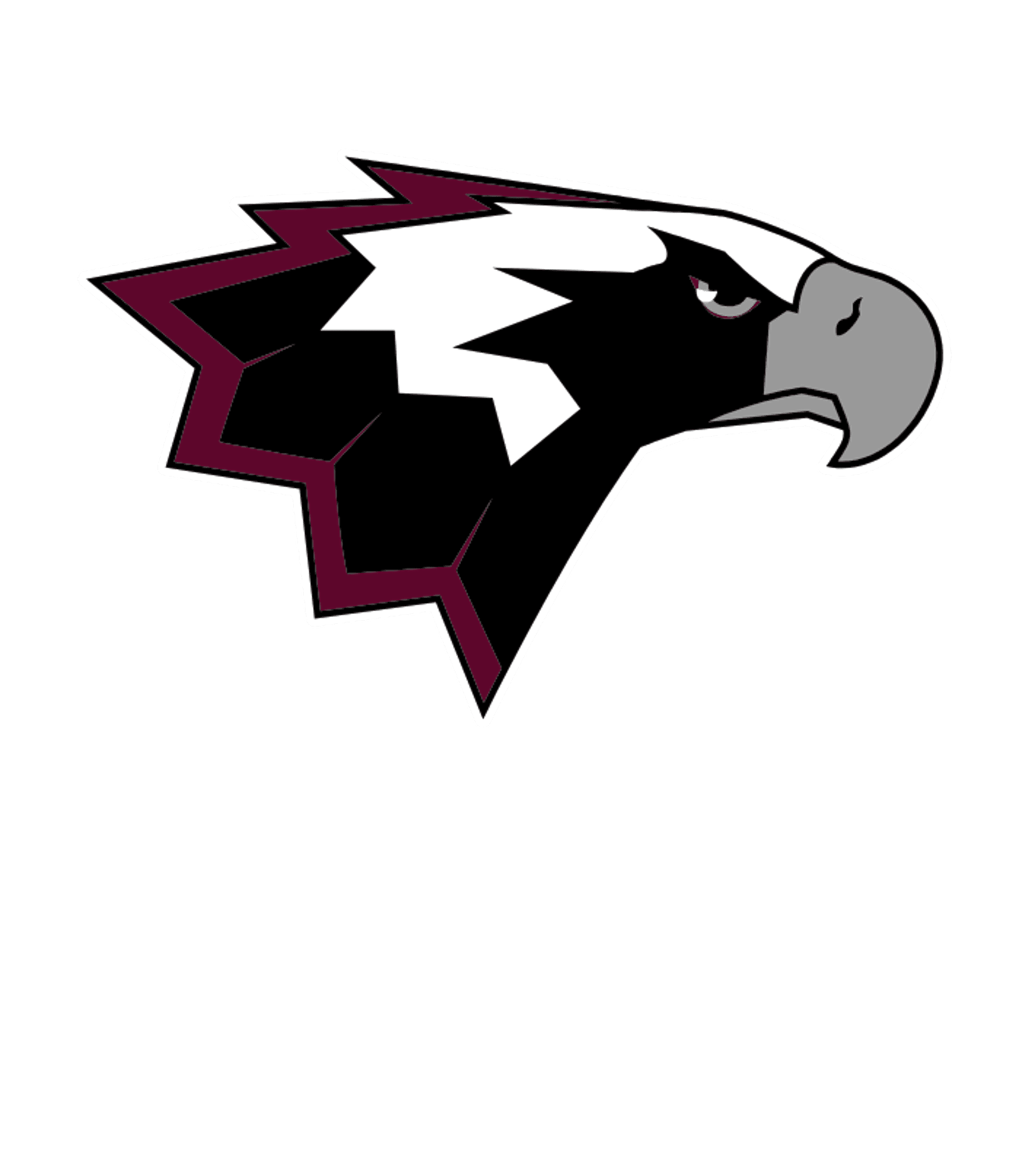Hodgson (Paul M.) Vocational Technical High School Logo