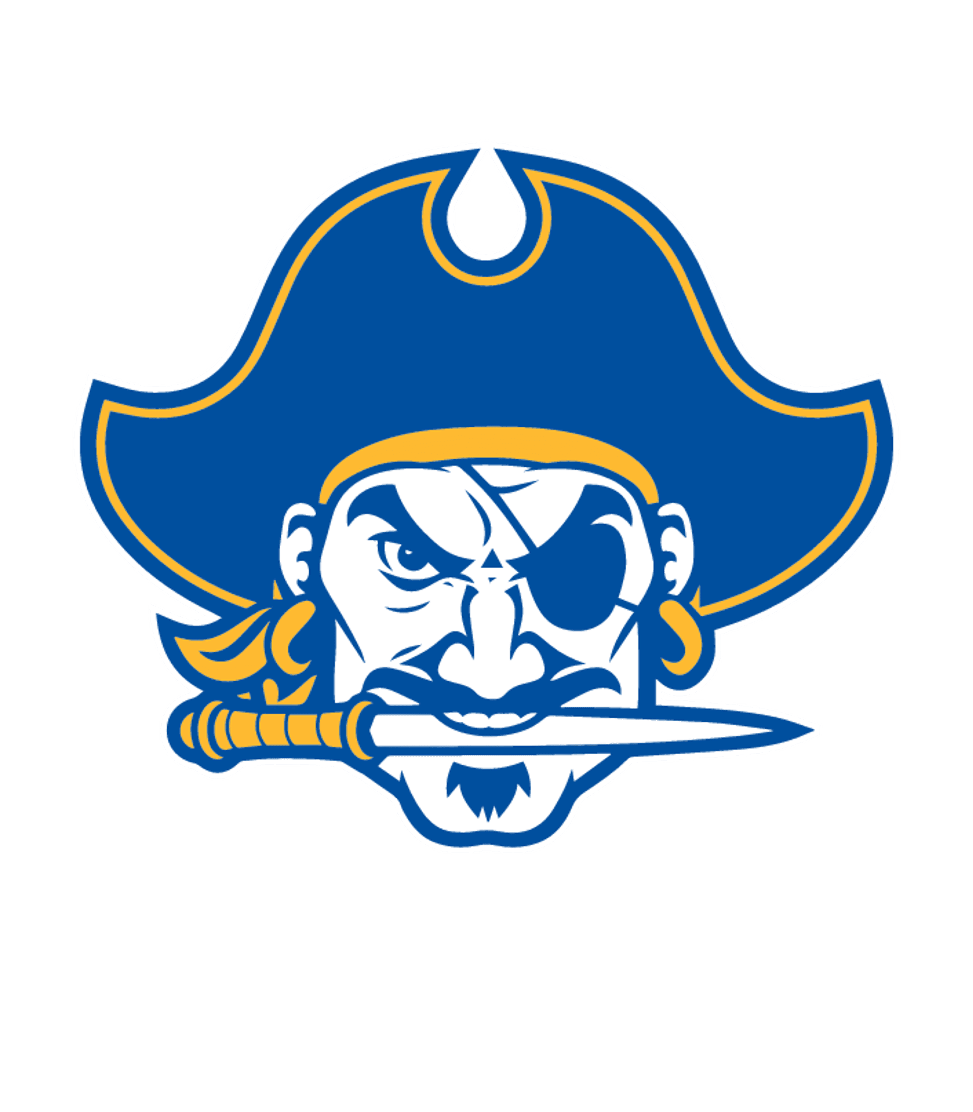 JAMES BOWIE H S Logo