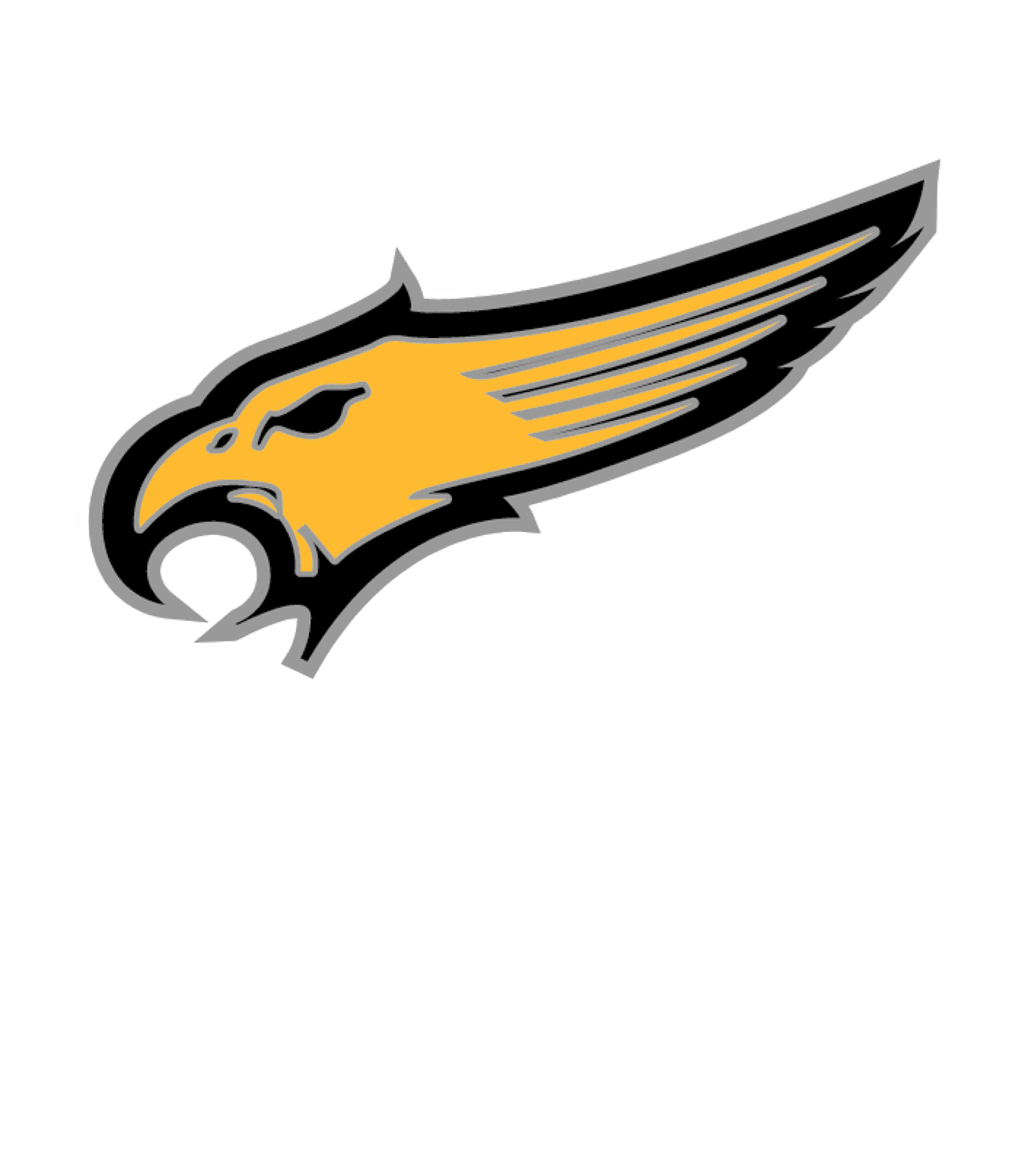 HAZELWOOD CENTRAL HIGH Logo