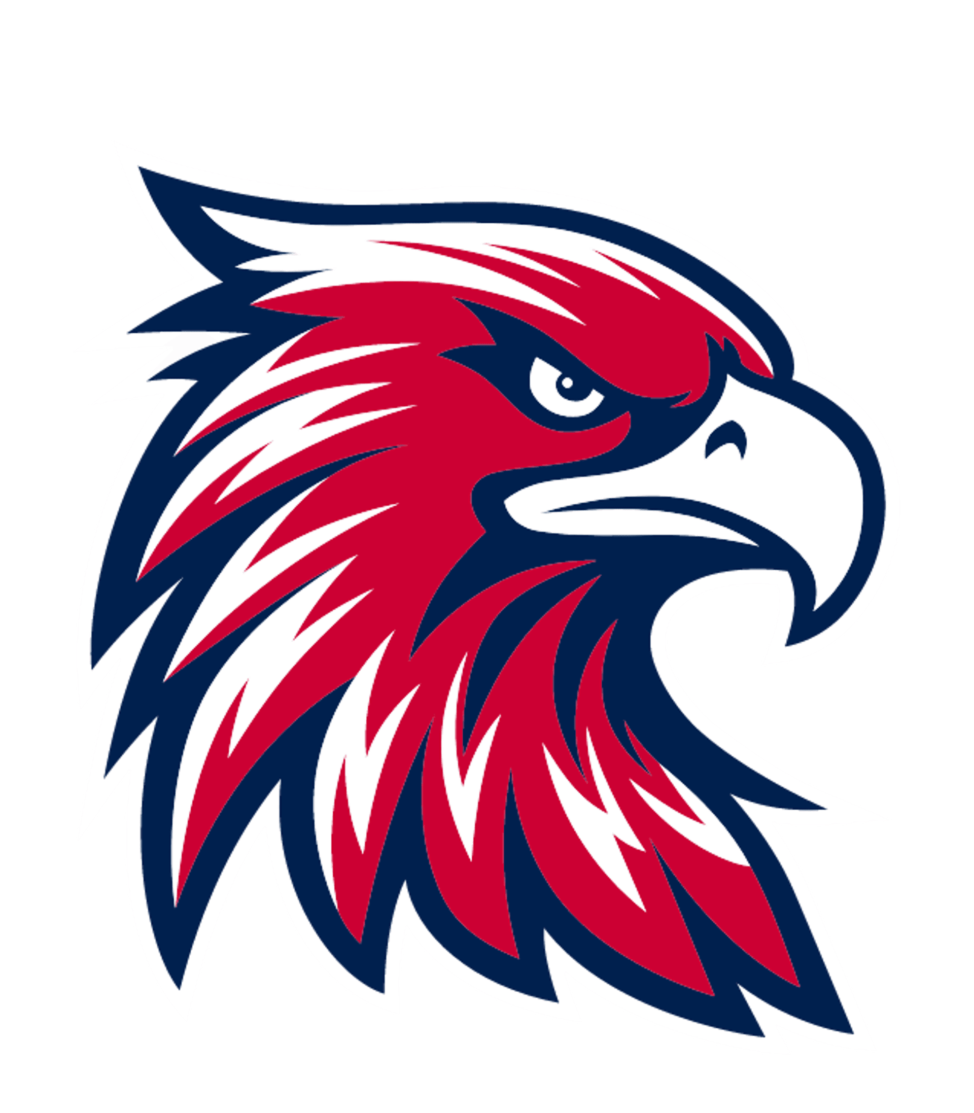 IROQUOIS SENIOR HIGH SCHOOL Logo