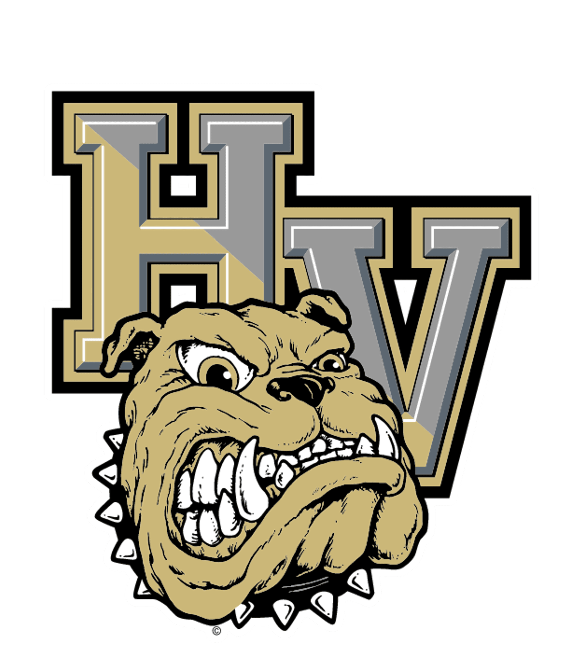 Hopewell Valley Central High School Logo