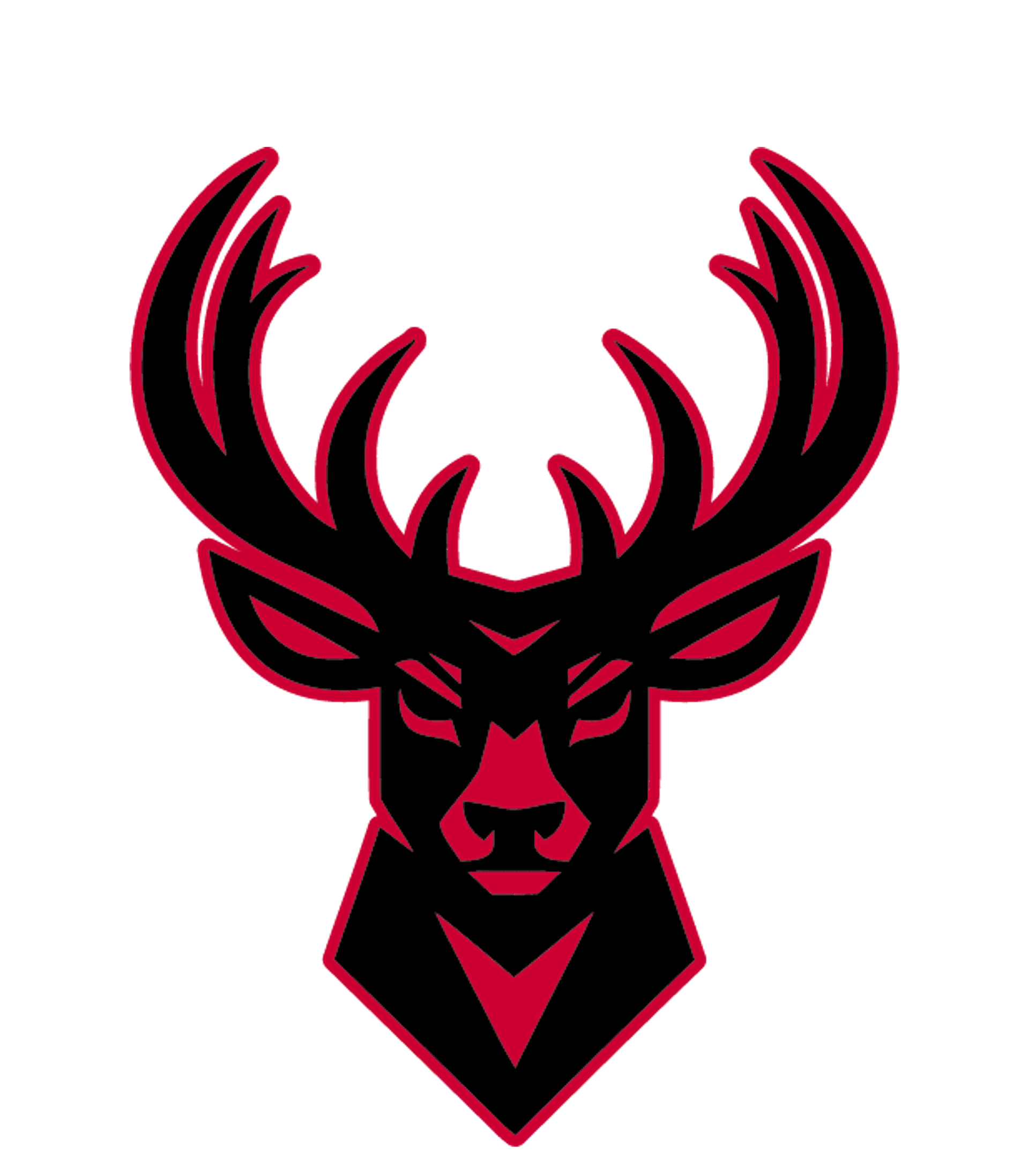 Hoke County High Logo