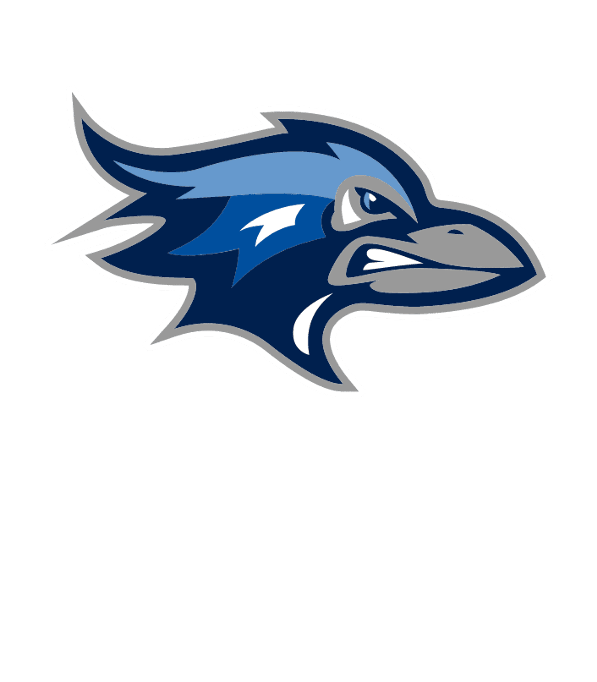 INTERNATIONAL HIGH SCHOOL FOR HEALTH SCIENCES Logo