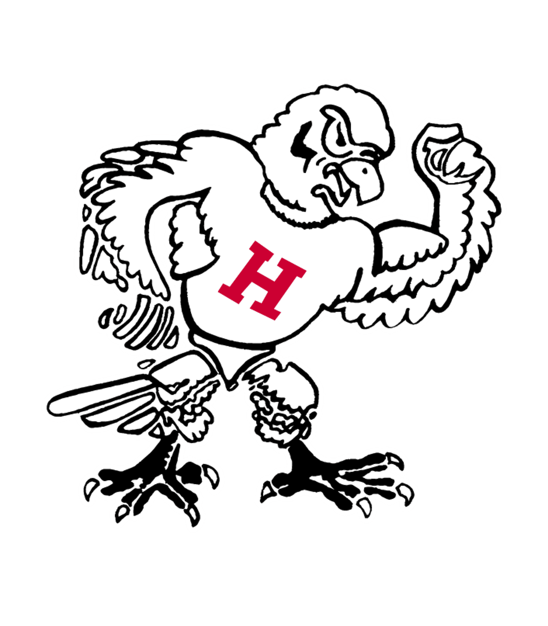 HOLLIDAY H S Logo