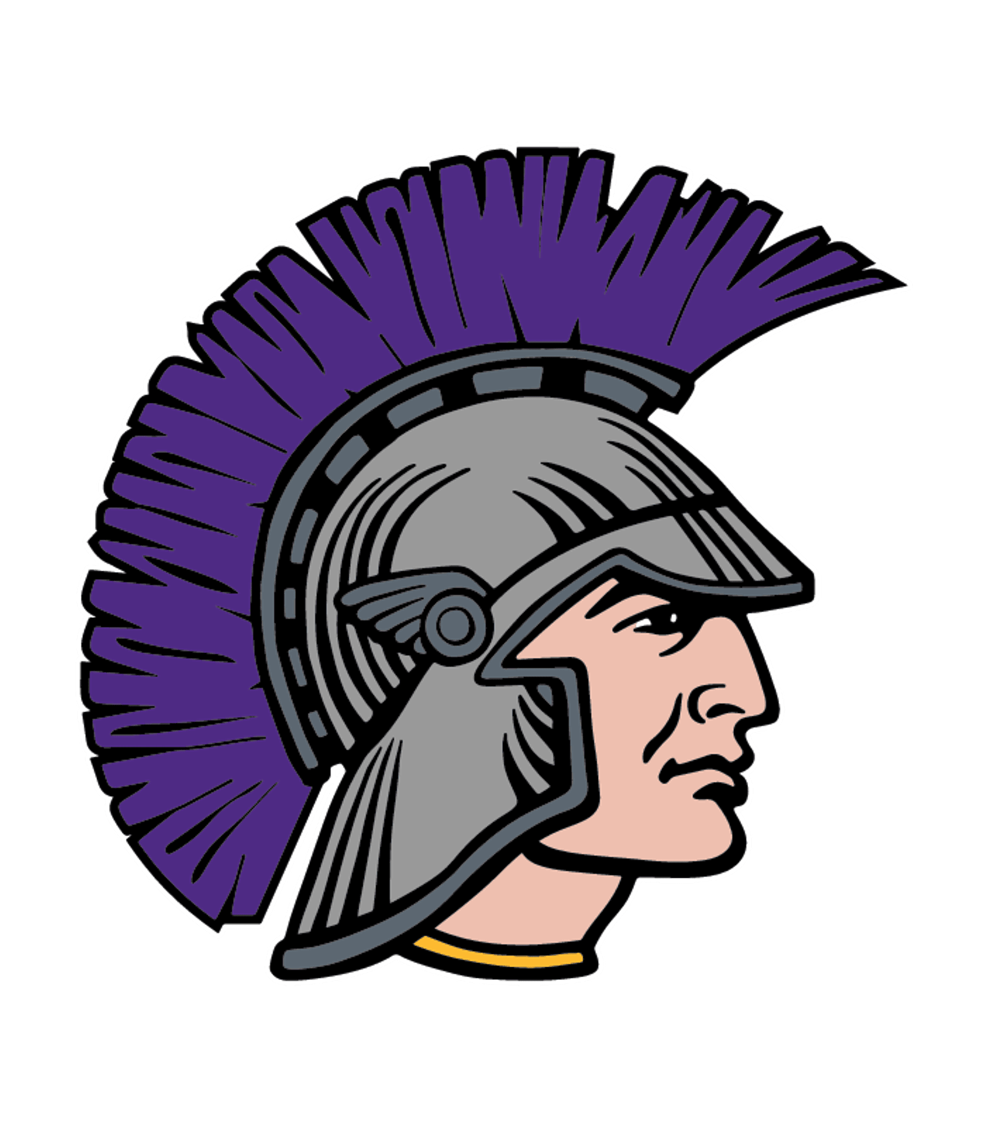HANNIBAL HIGH SCHOOL Logo