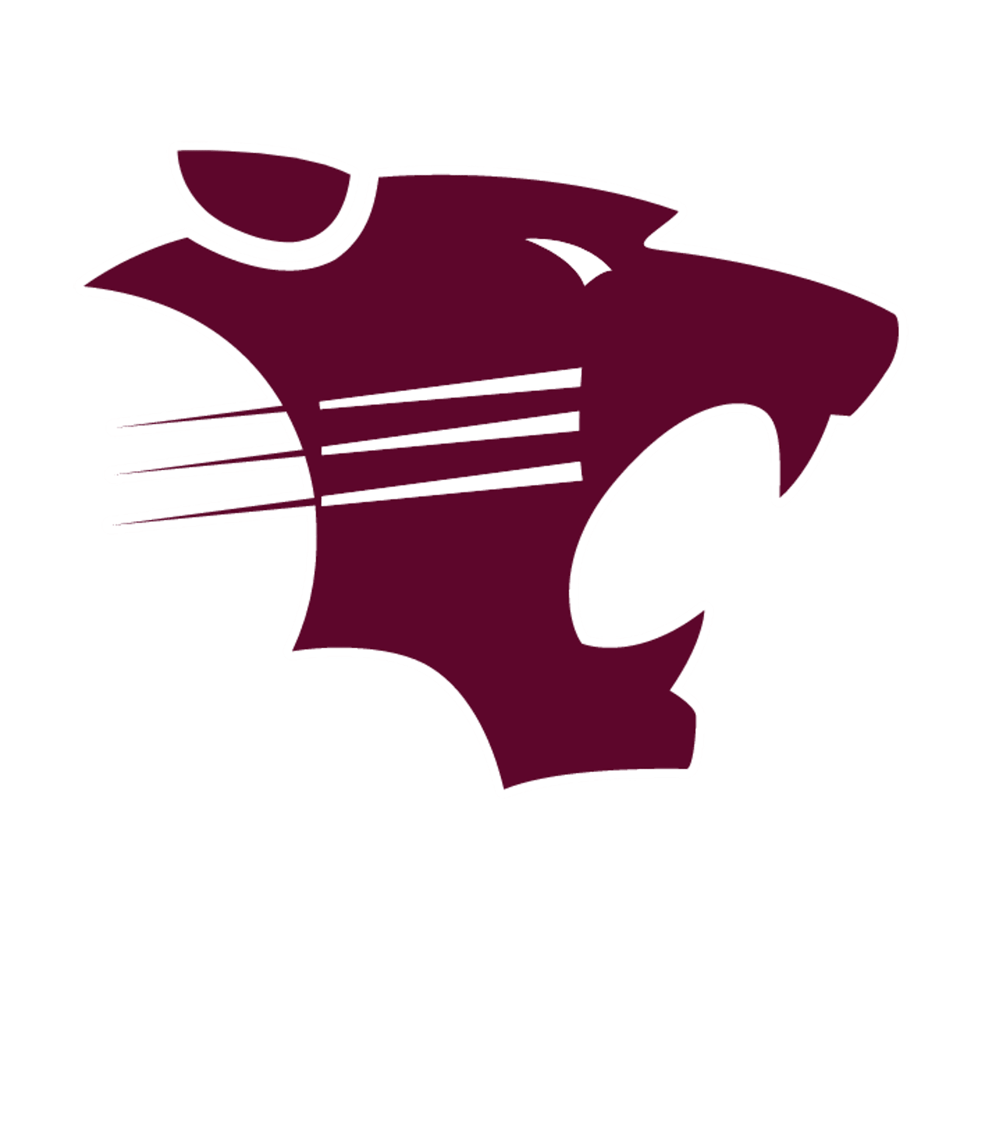 HAWLEY CENTER FOR ACCELERATED LEARNING Logo