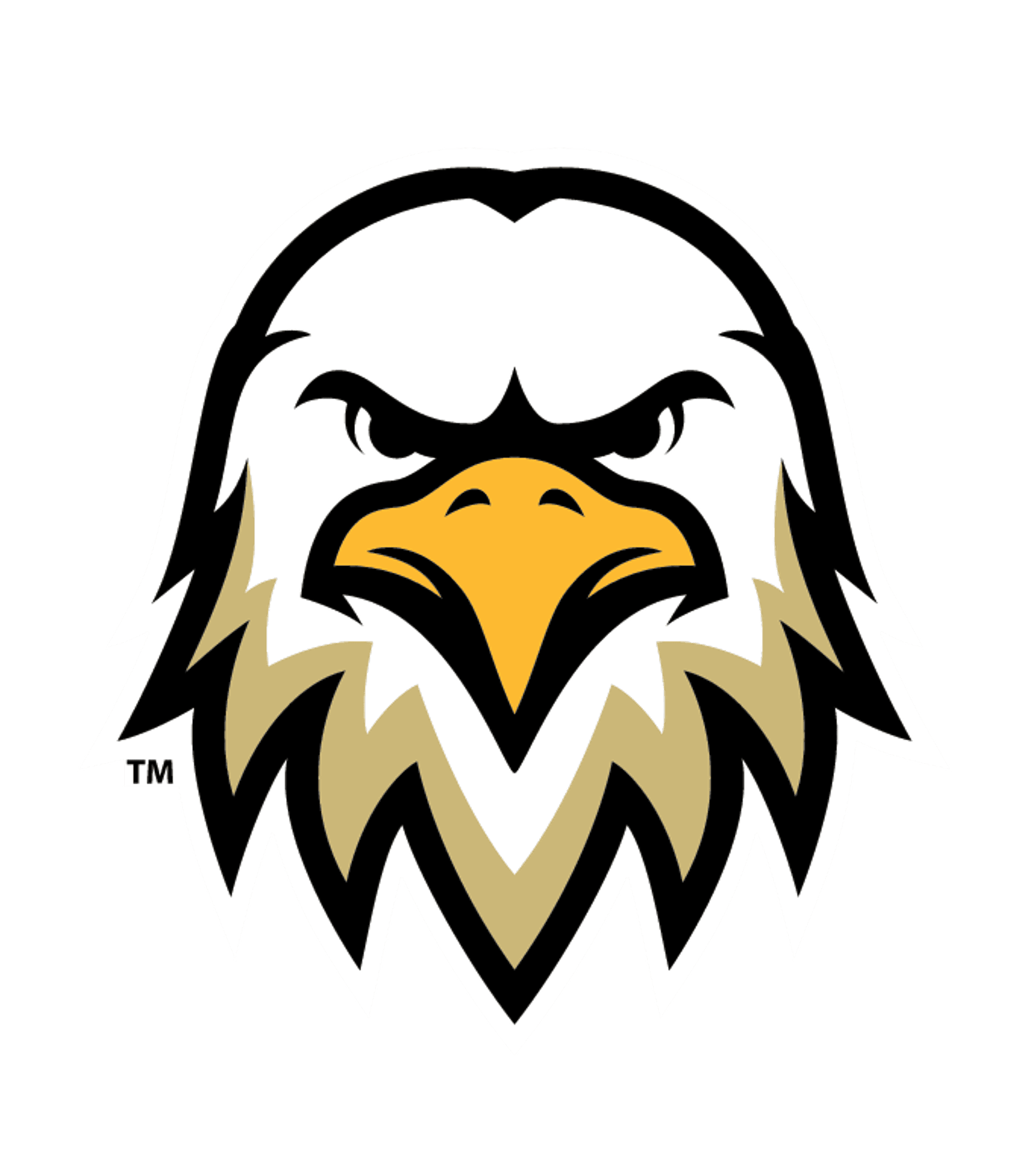 James C. Enochs High Logo