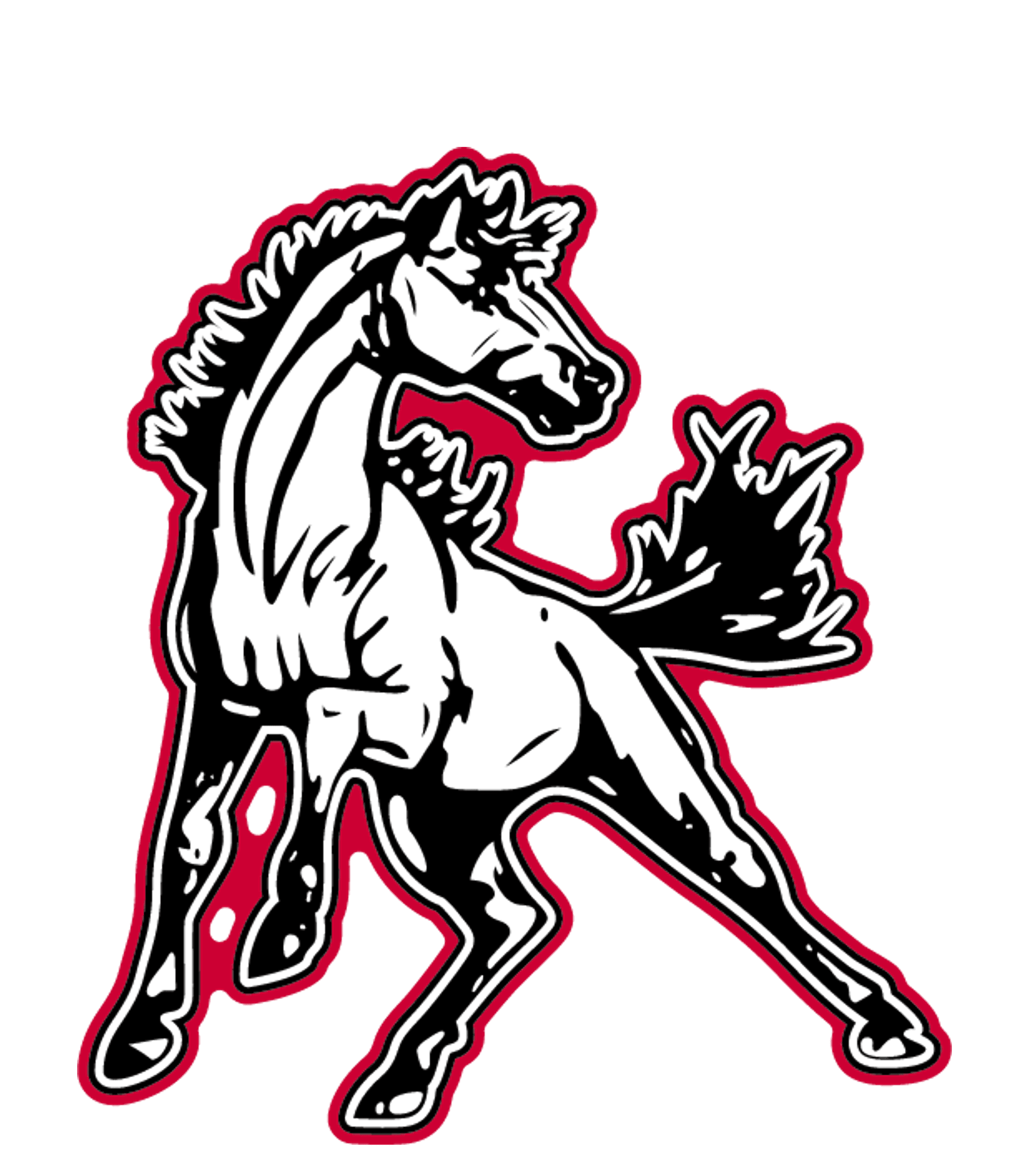 MCDONALD COUNTY HIGH Logo