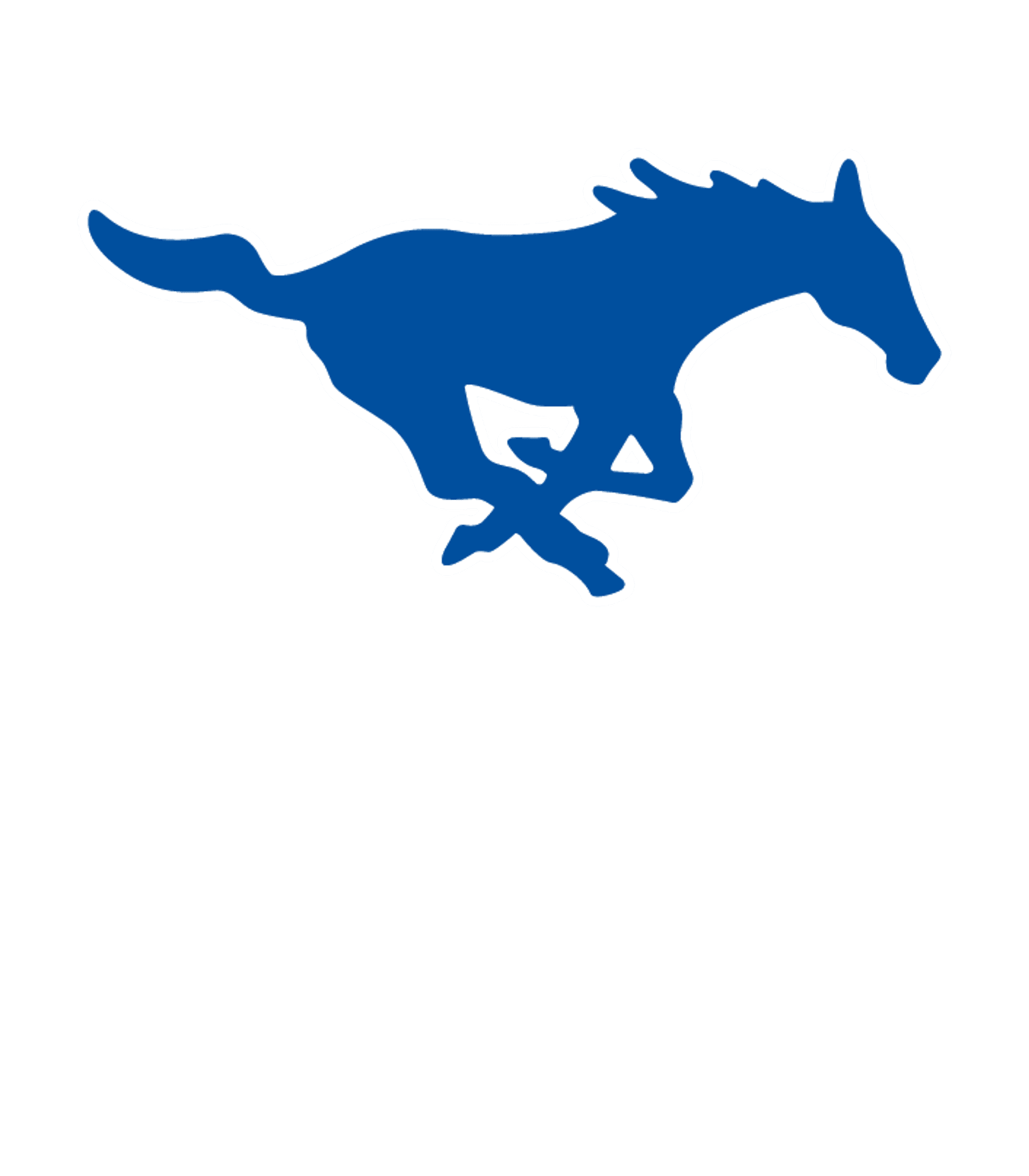 MEDINA JUNIOR-SENIOR HIGH SCHOOL Logo