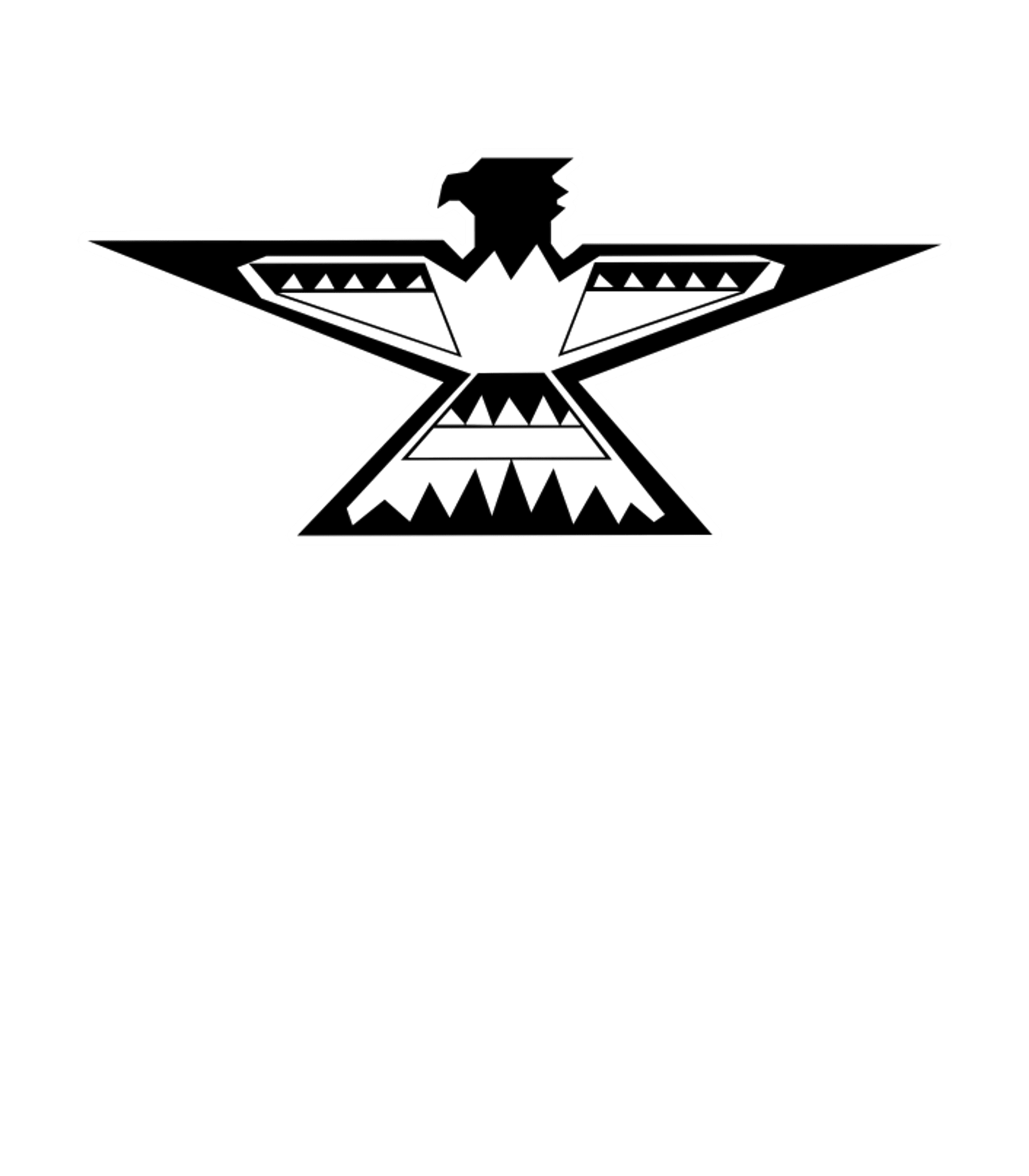 Lakeland STAR Acad (LSA) Logo