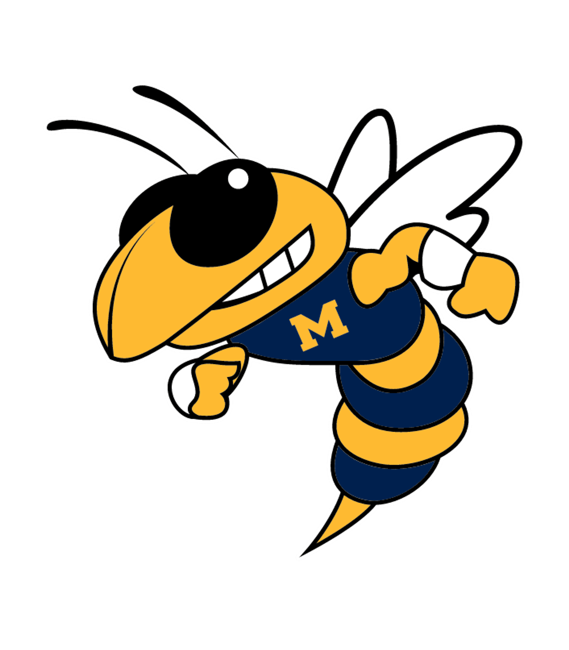 Memphis JuniorSenior High School Logo