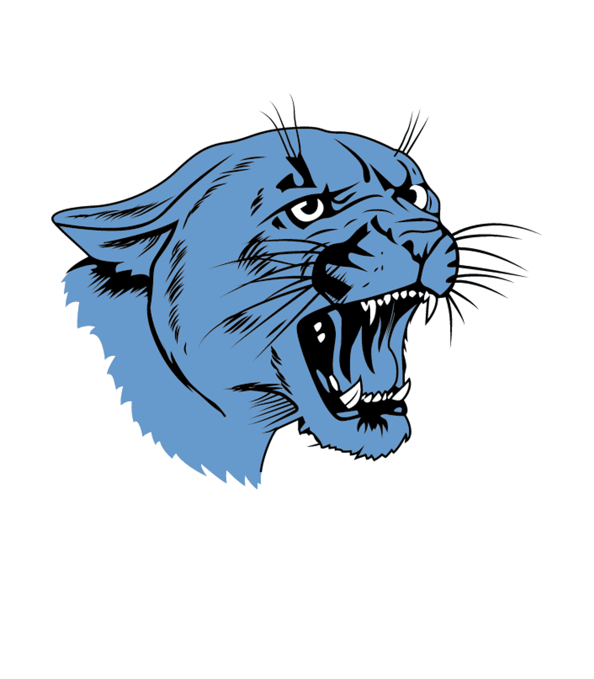 Jersey Comm Alt Program JCAP Logo
