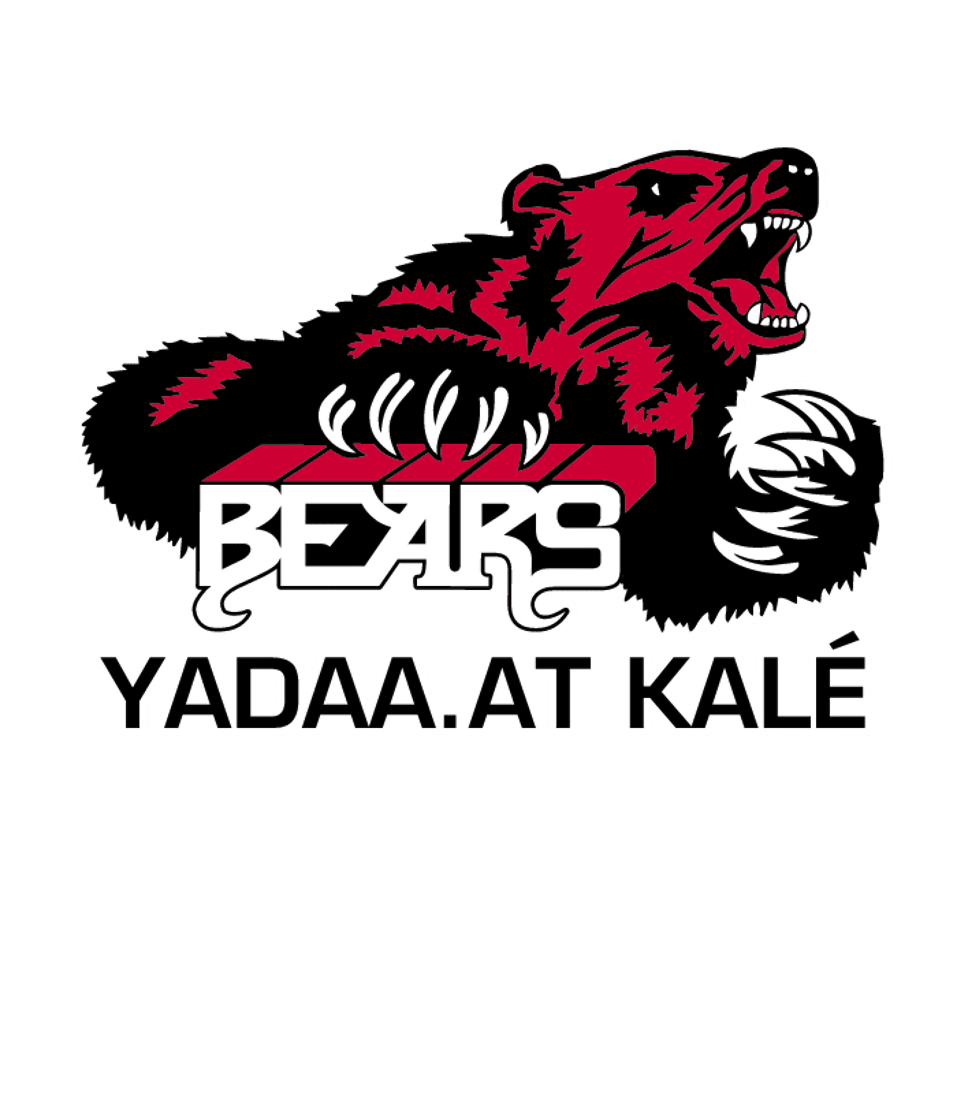 Juneau-Douglas High School: Yadaa.at Kale Logo