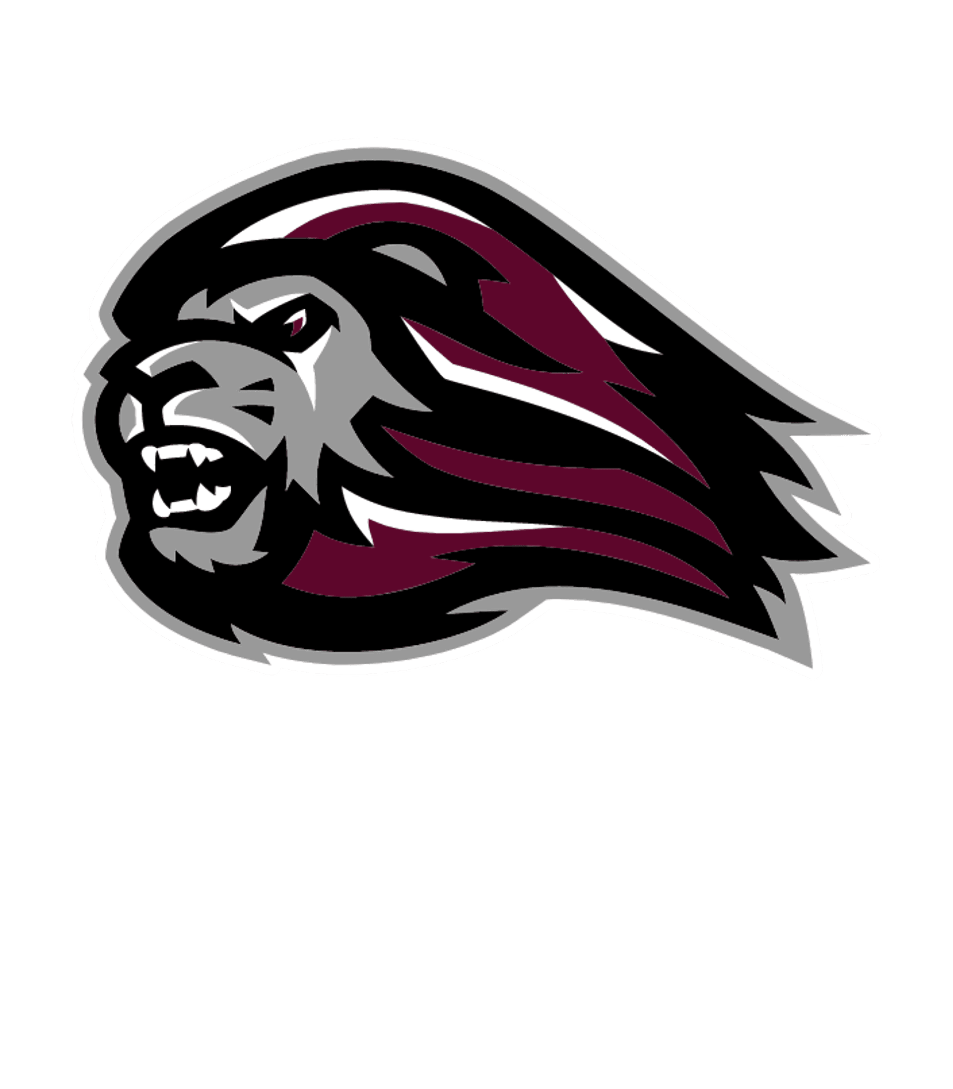 Ludlow Senior High Logo