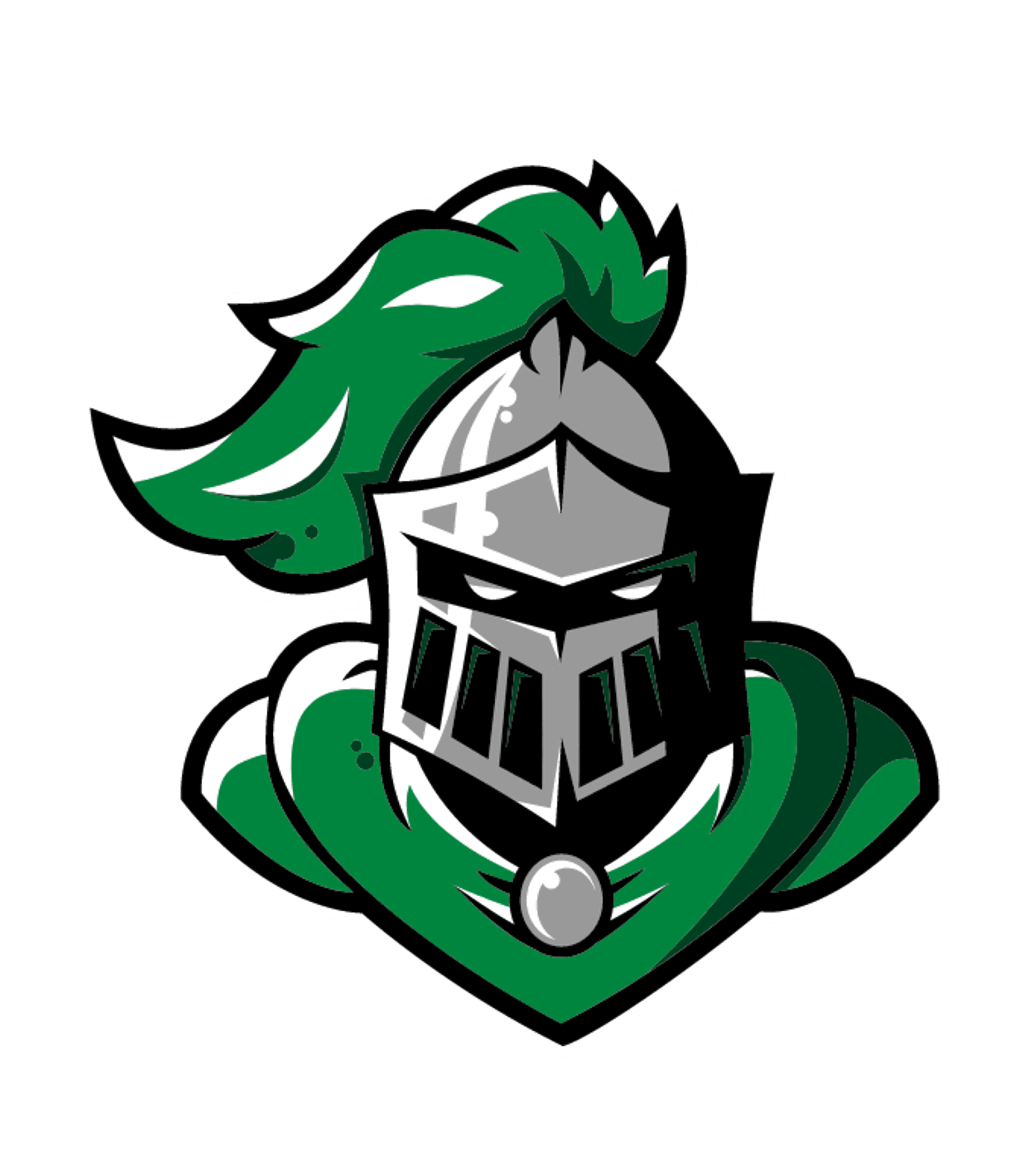 MIDDLEBURGH JUNIOR/SENIOR HIGH SCHOOL Logo
