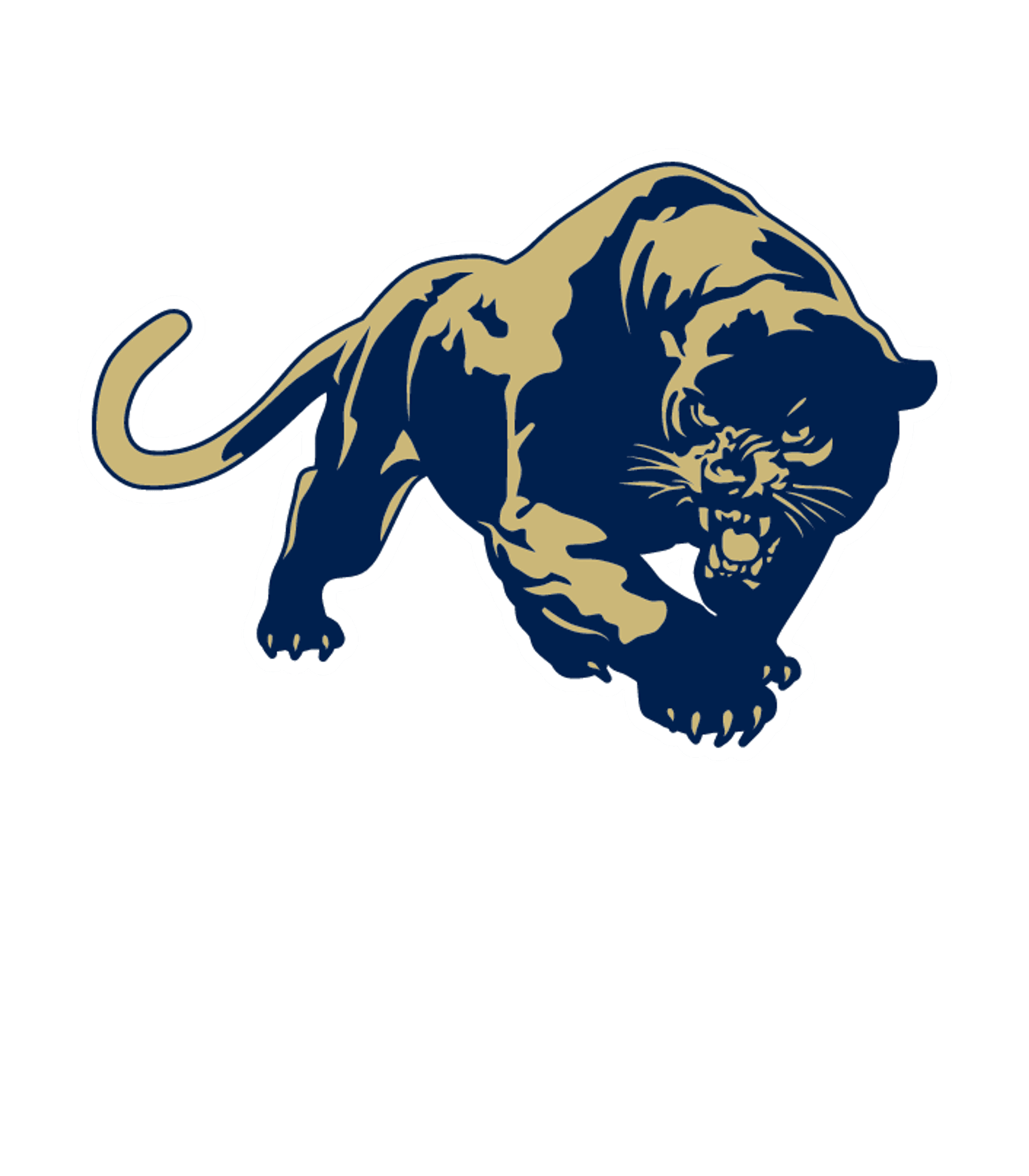 Orville H. Platt High School Logo