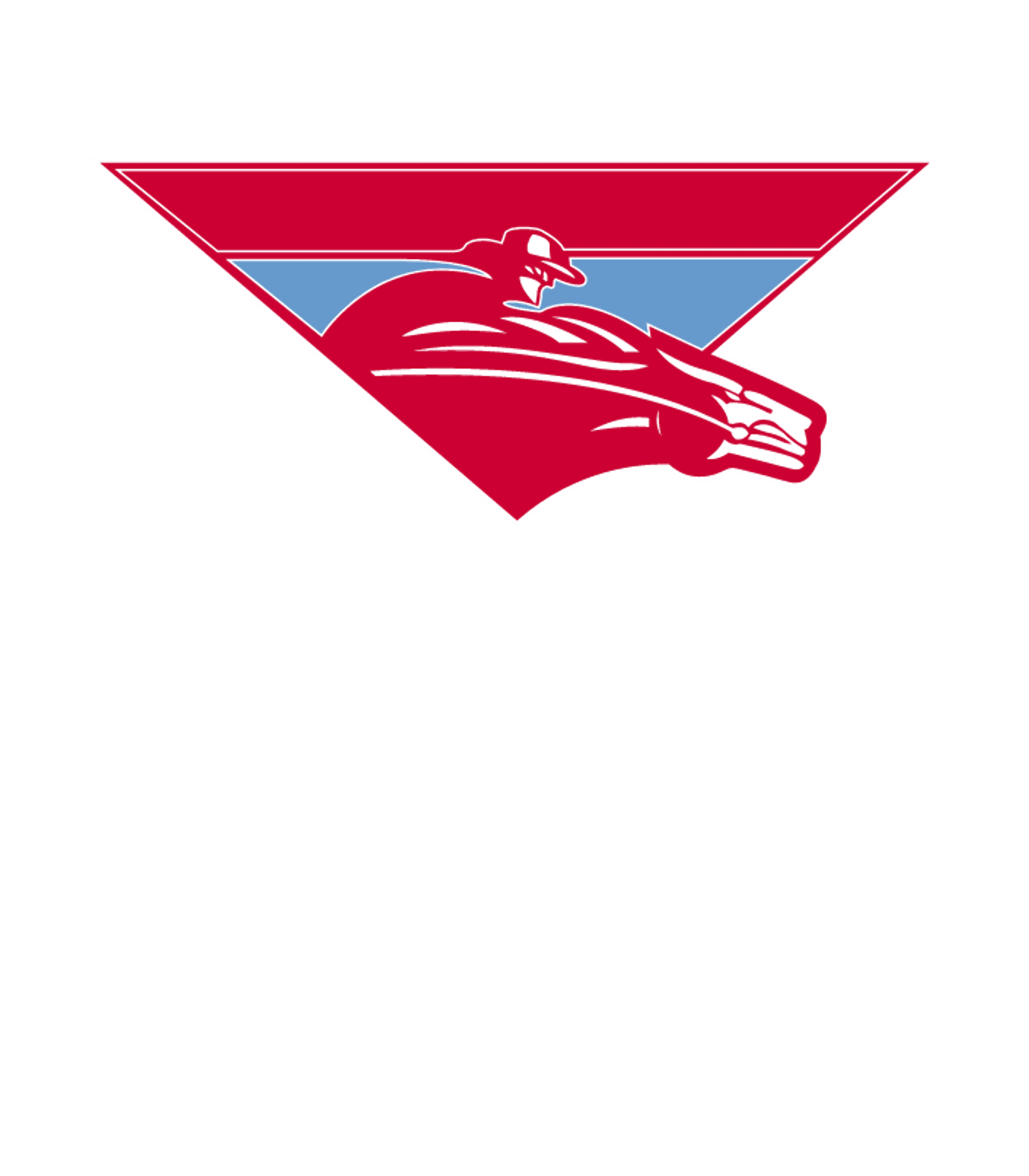 LUMBERTON H S Logo