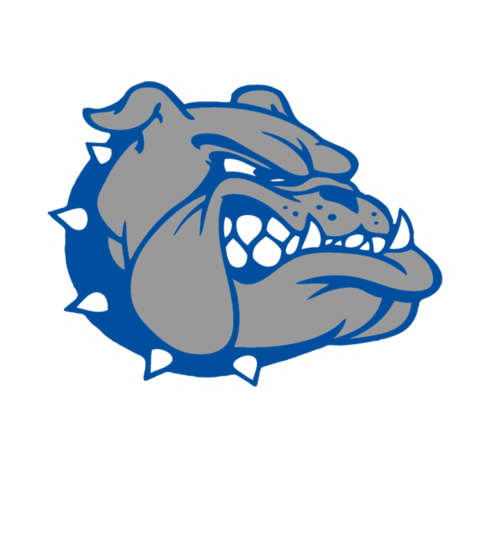 Madison Jr/Sr High School Logo