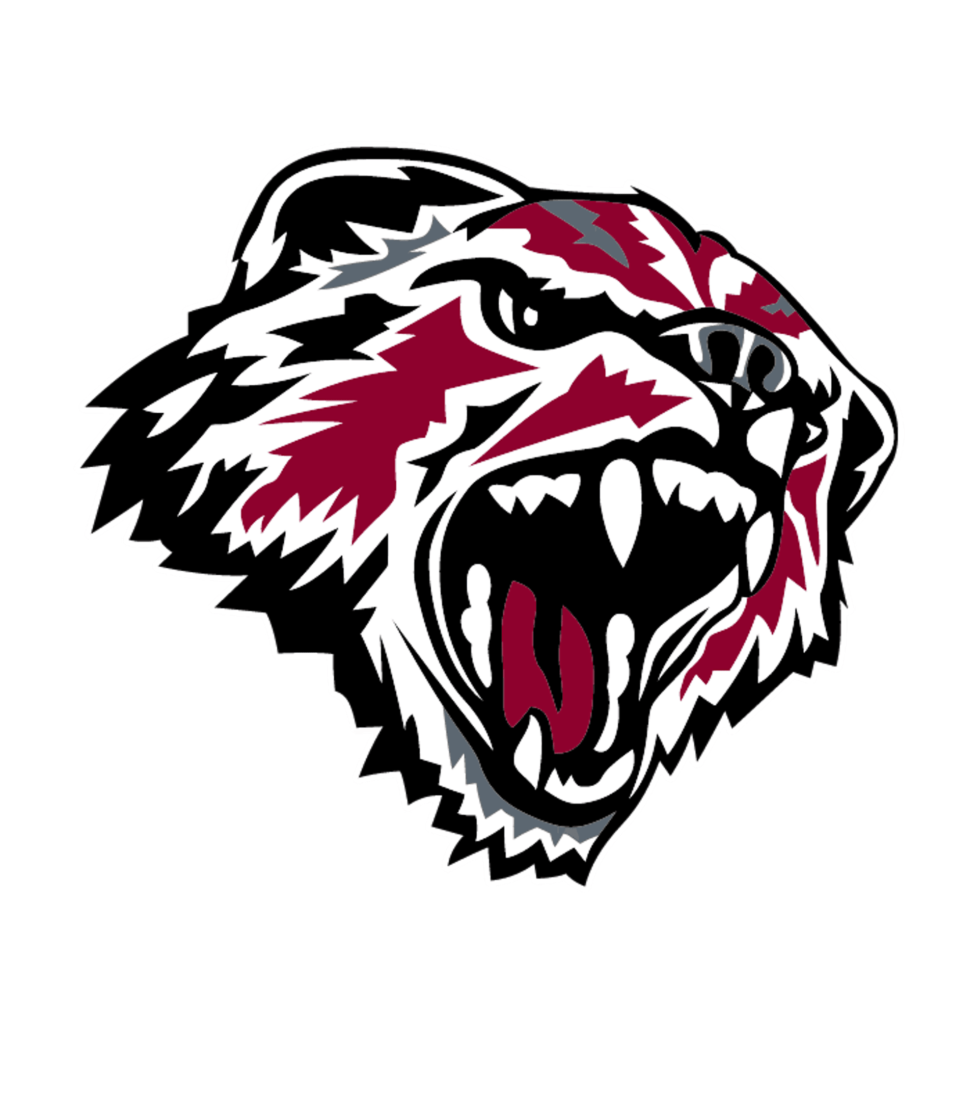 MAYSVILLE JR.-SR. HIGH Logo