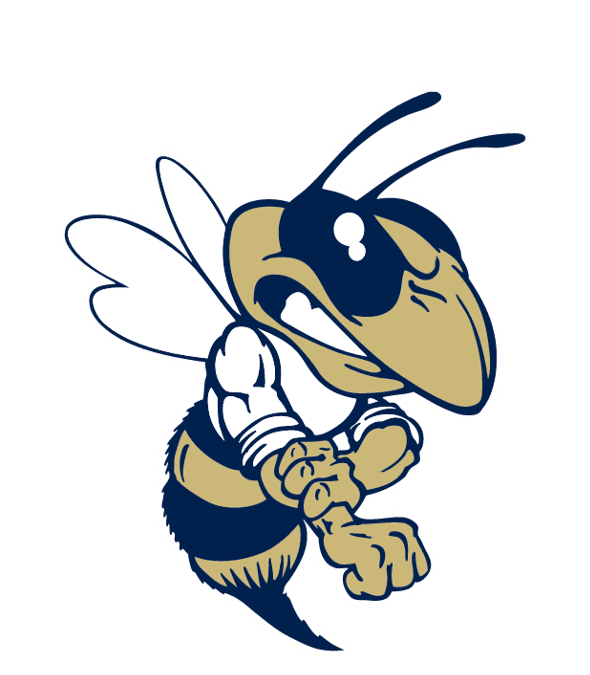 KINGFISHER HS Logo