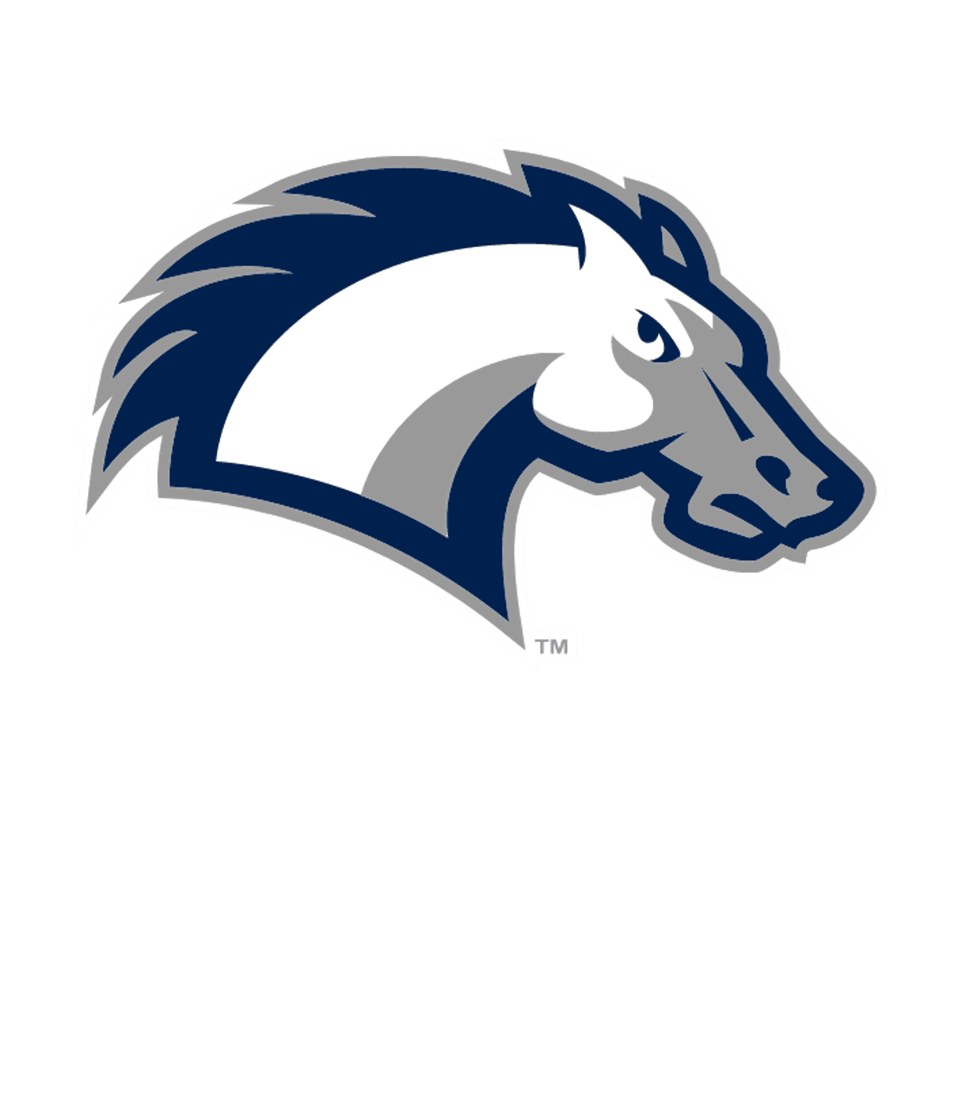 Manchester Valley High Logo