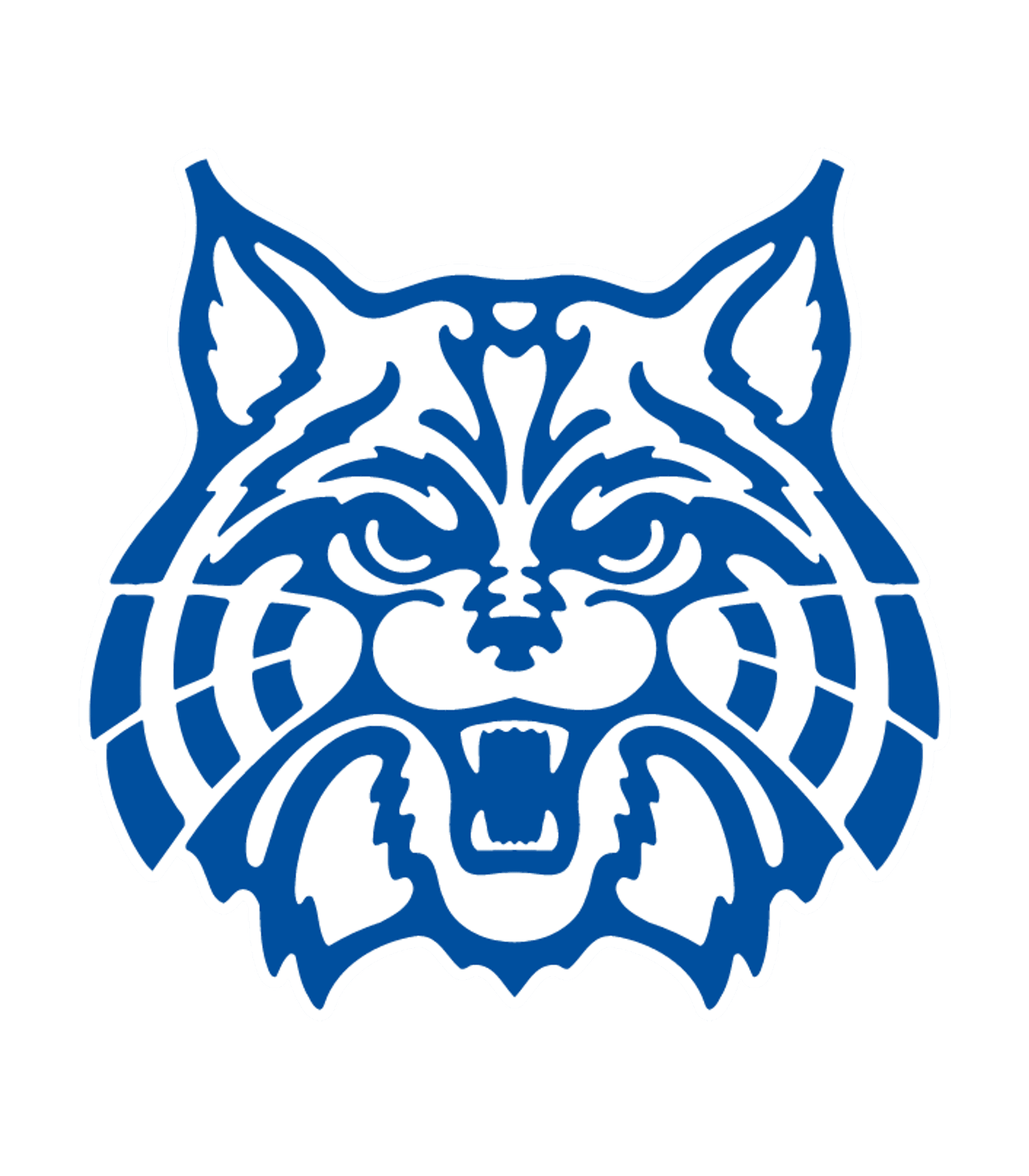 Mayer High School Logo