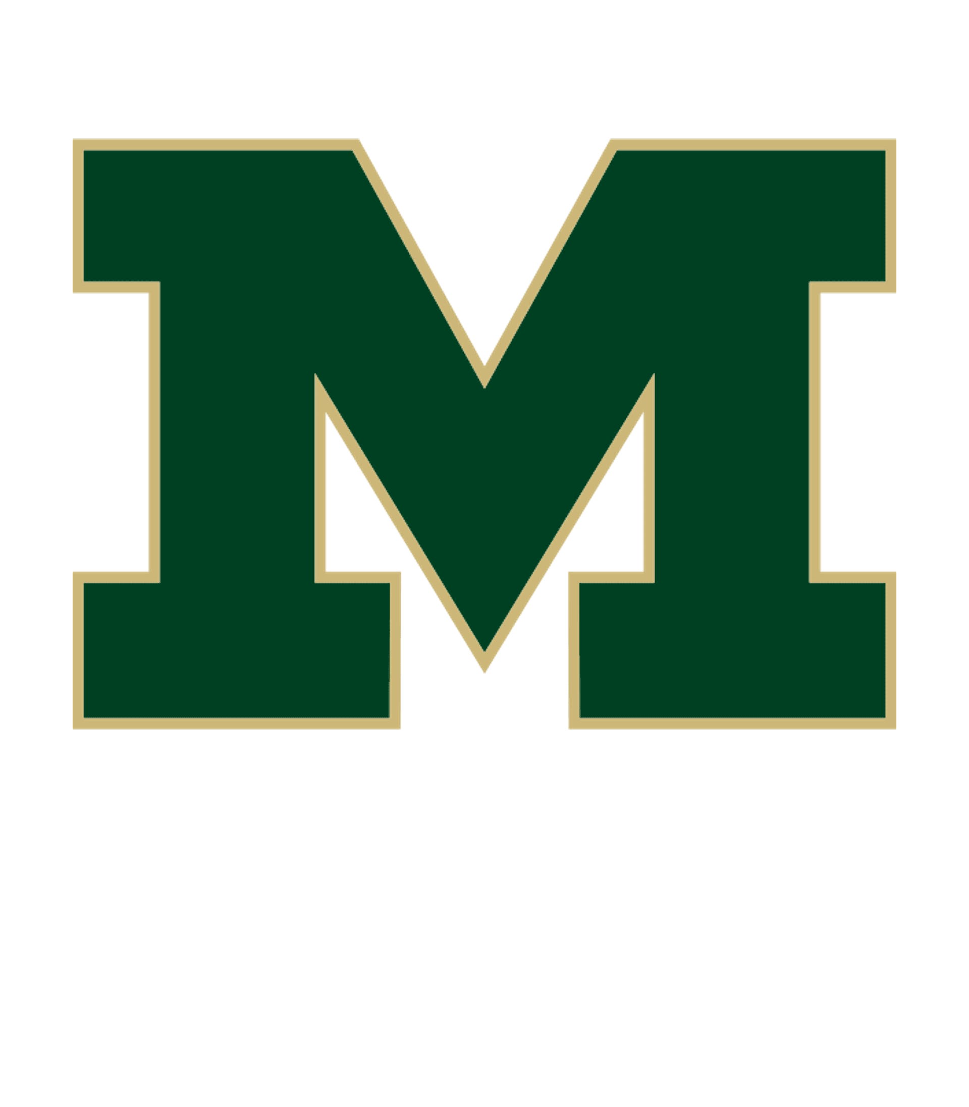 MALDEN HIGH Logo