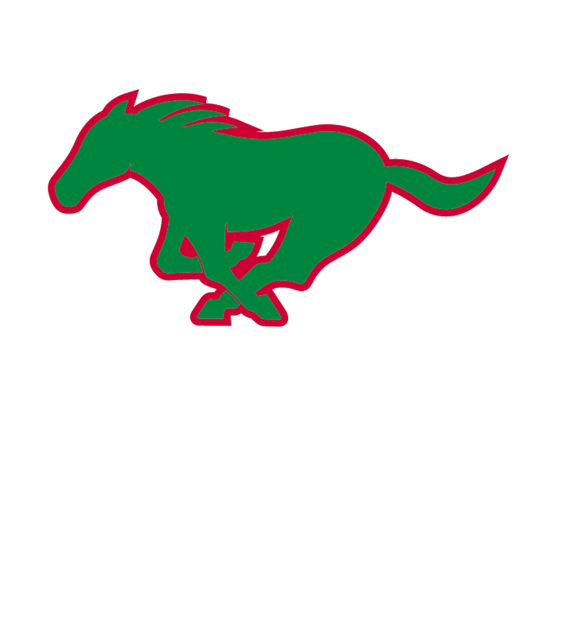 MARCELLUS HIGH SCHOOL Logo