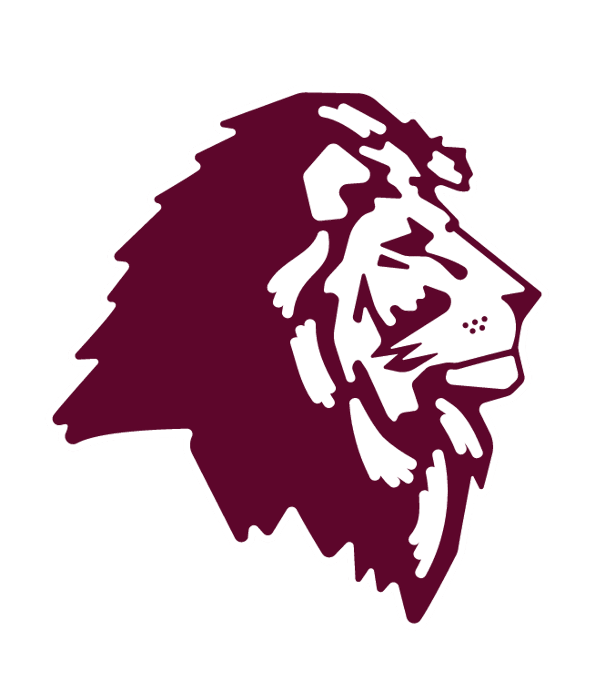 LYONS SENIOR HIGH SCHOOL Logo