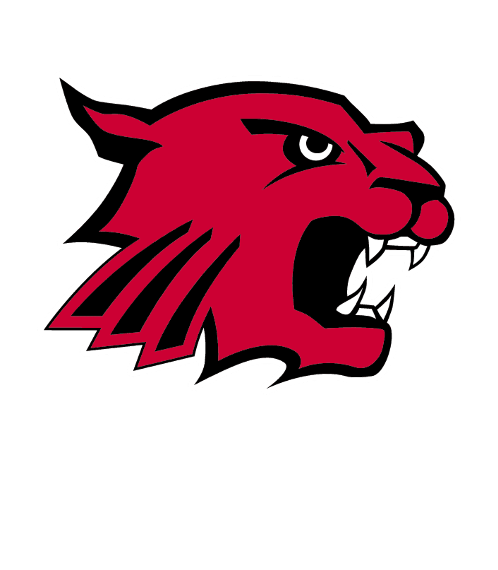 Lawrence North High School Logo