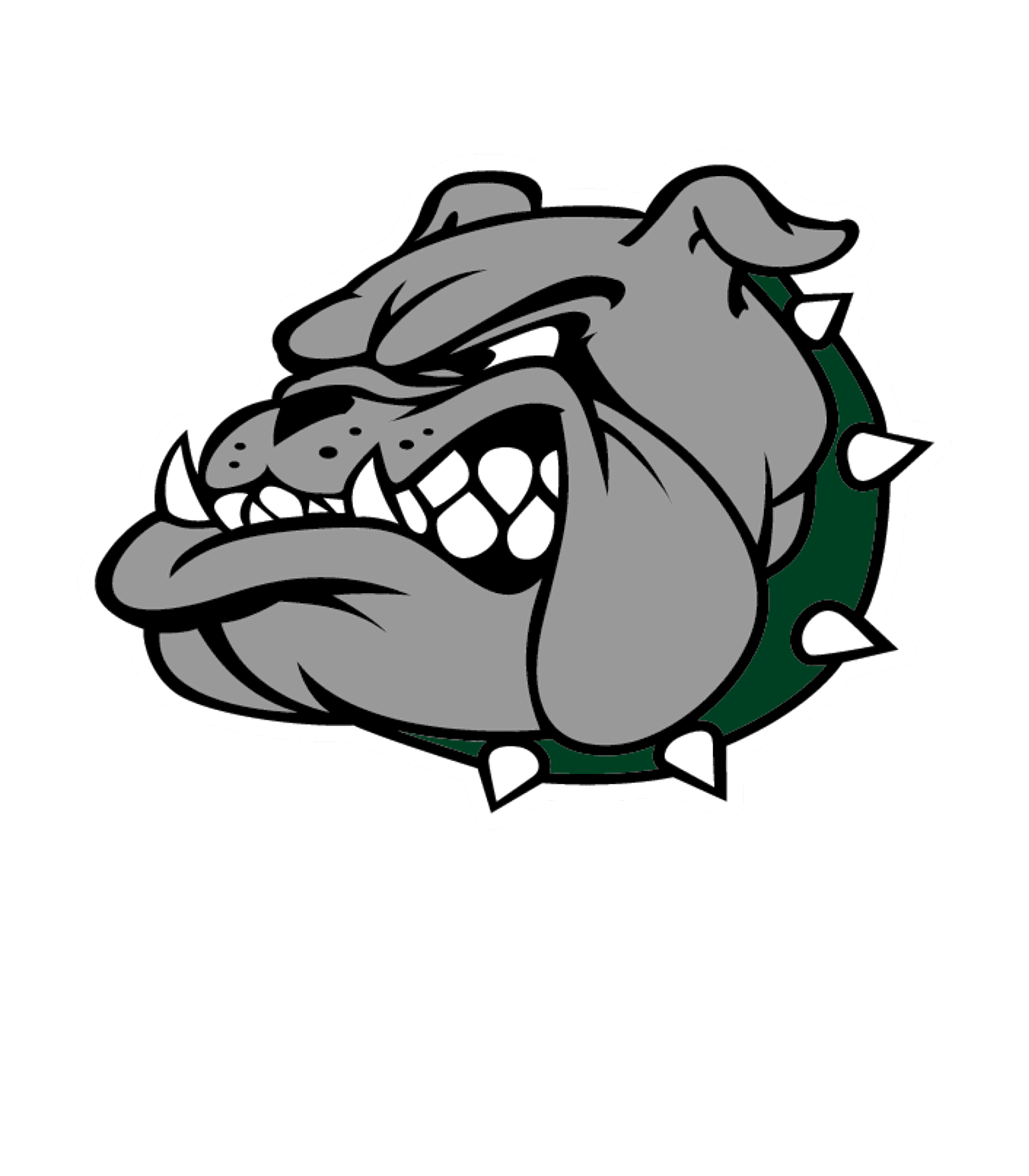 LINDENHURST SENIOR HIGH SCHOOL Logo