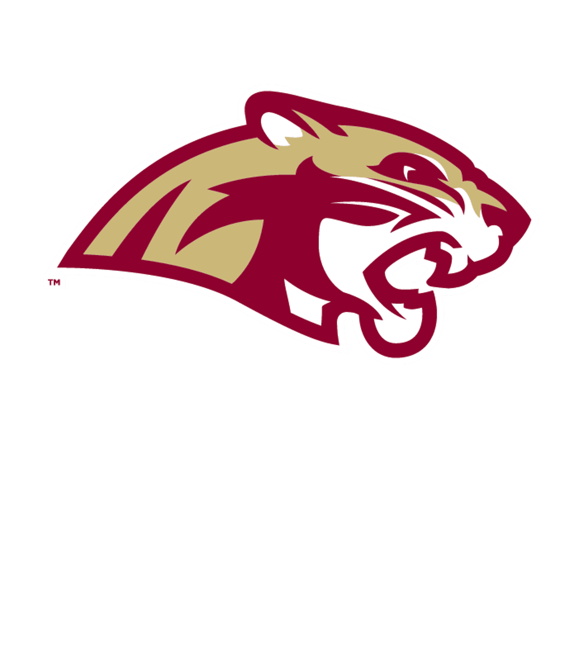 Lakeville Online Academy-High Logo