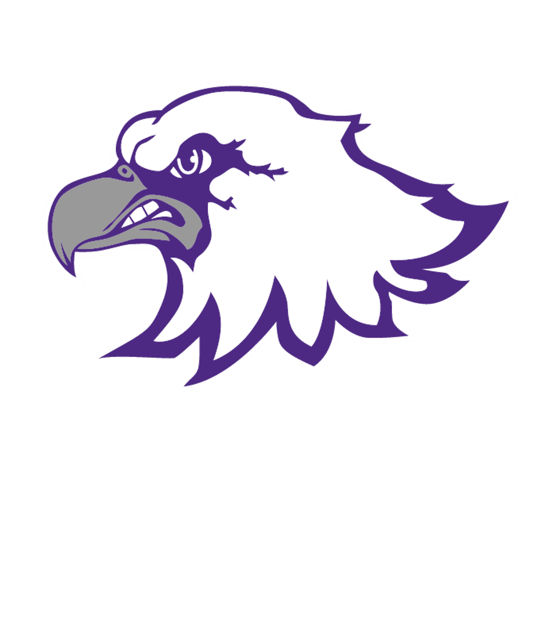 Wray Junior Senior High School Logo