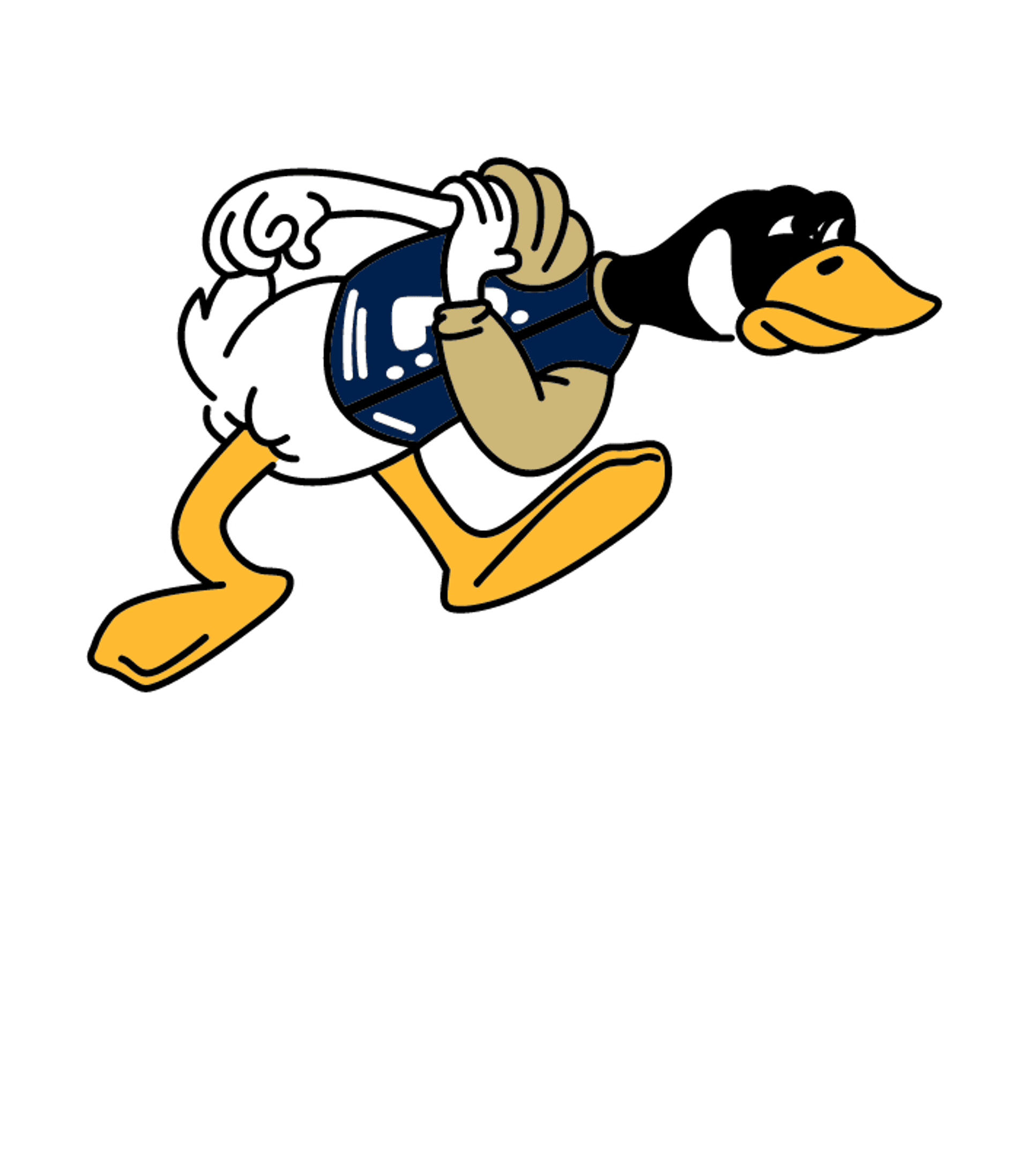 Lakeview Senior High School Logo