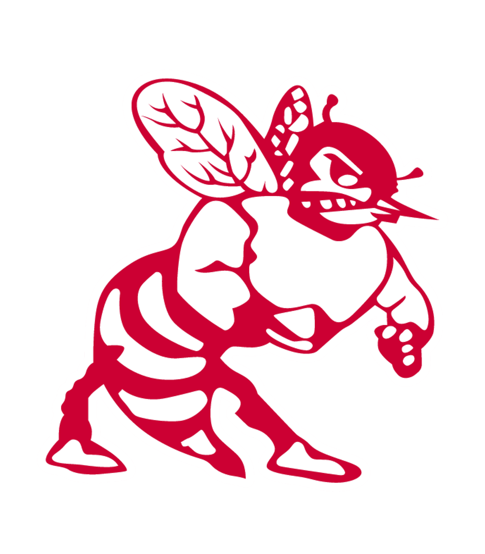 LAFAYETTE VIRTUAL FRANCHISE Logo