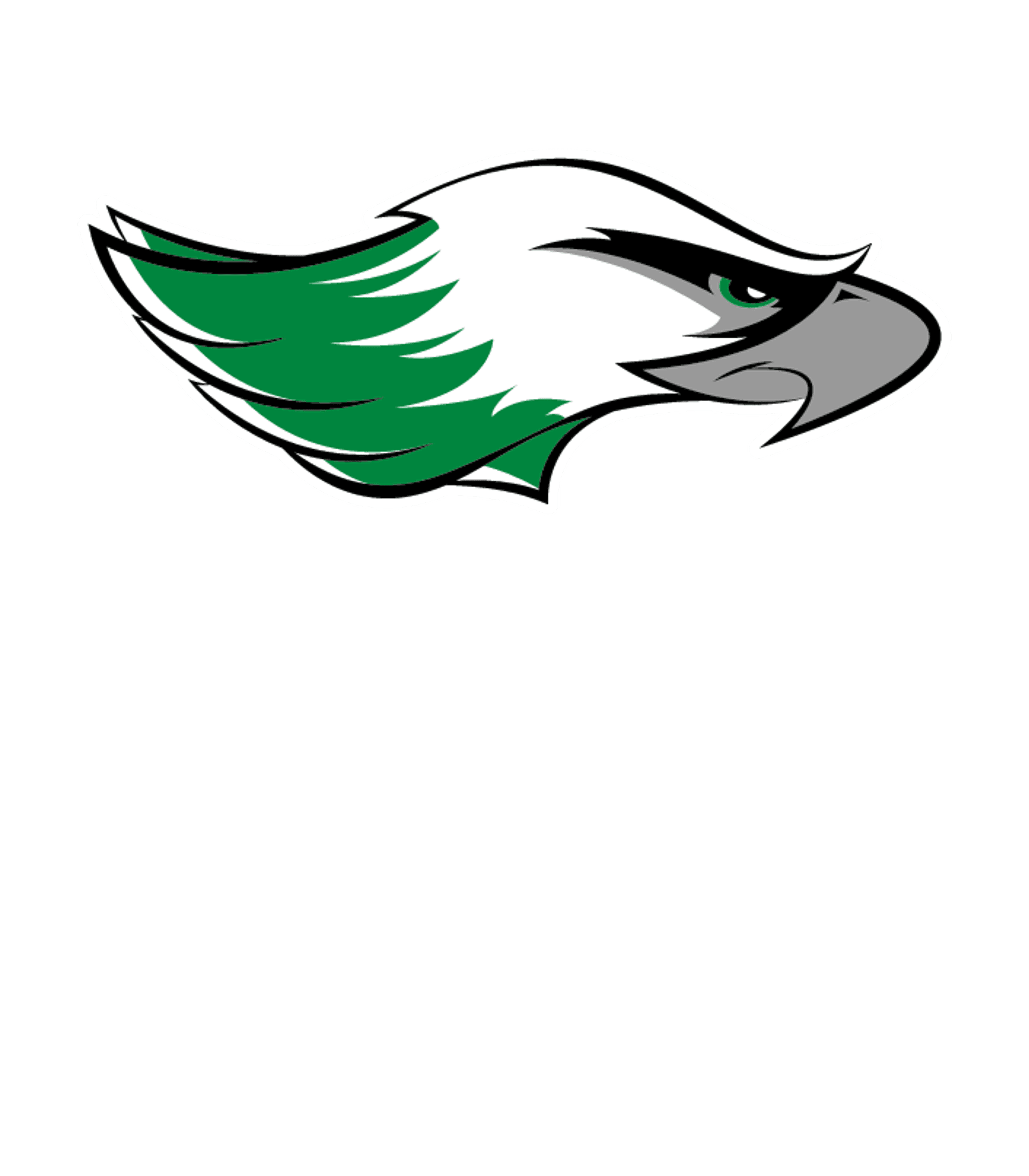 LAKE SHORE SENIOR HIGH SCHOOL Logo