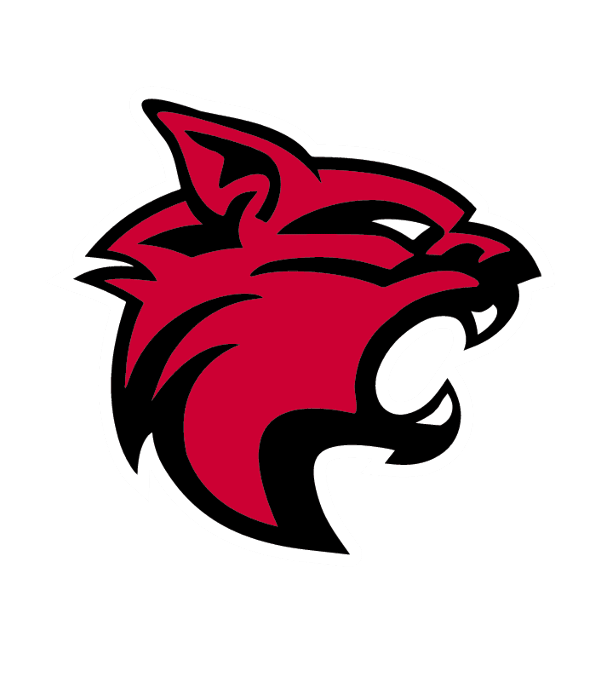 Lake View High School Logo