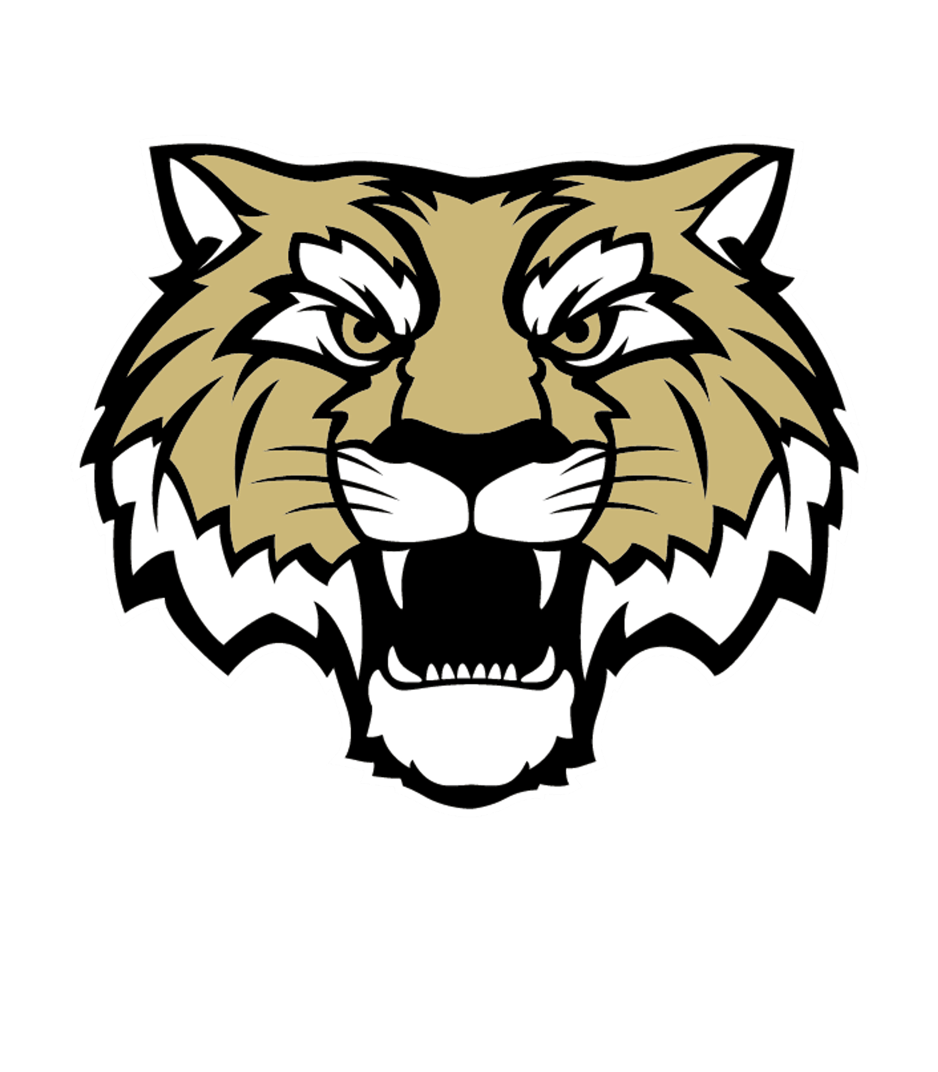 Lebanon Senior High School Logo