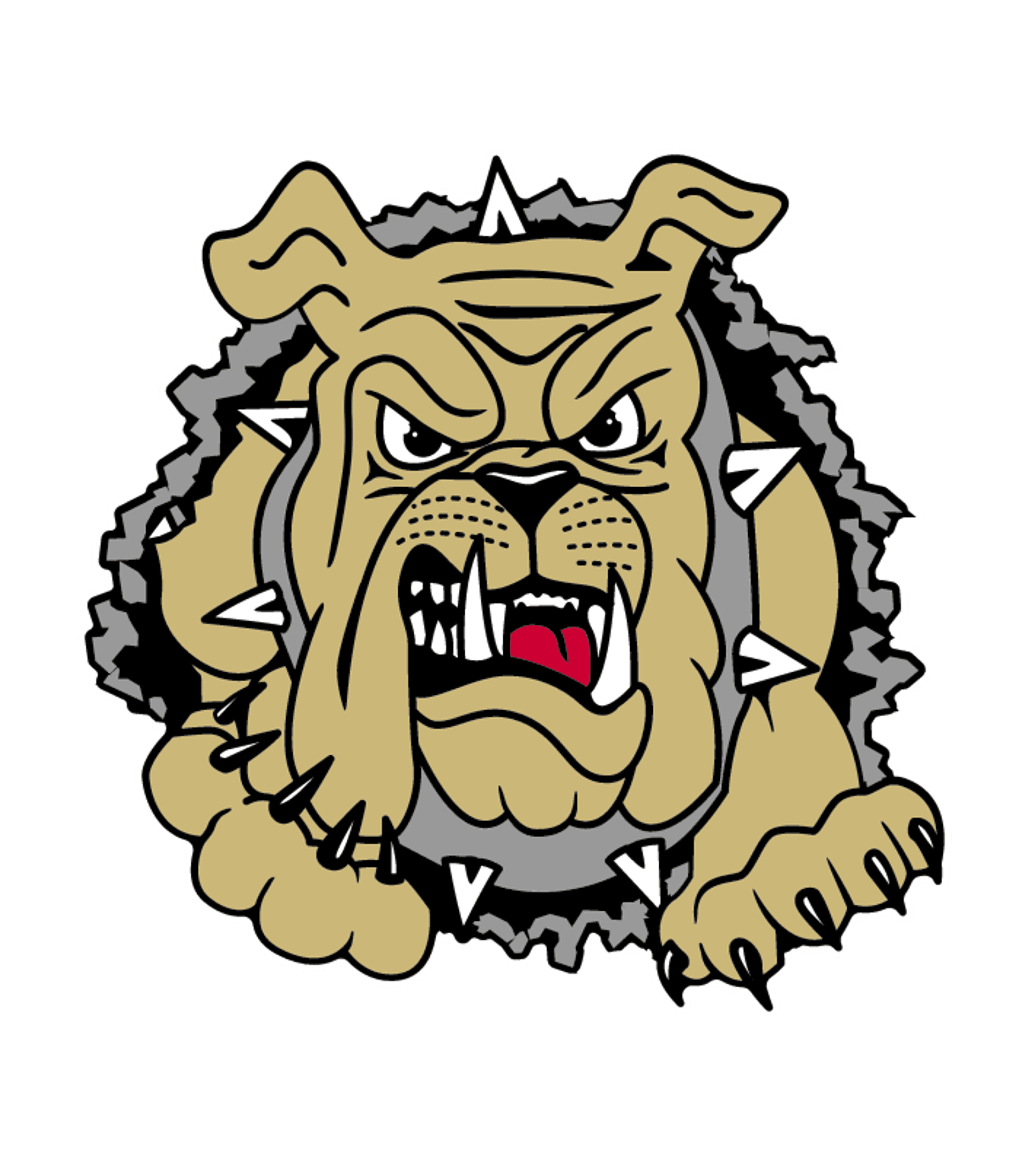 LEETON HIGH Logo