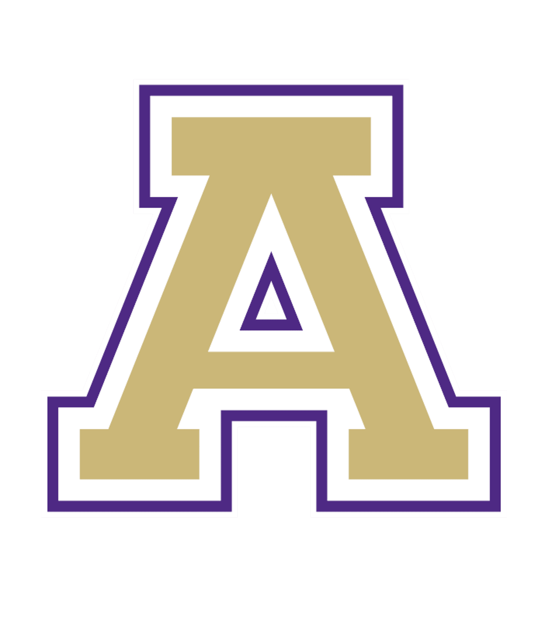AMSTERDAM HIGH SCHOOL Logo