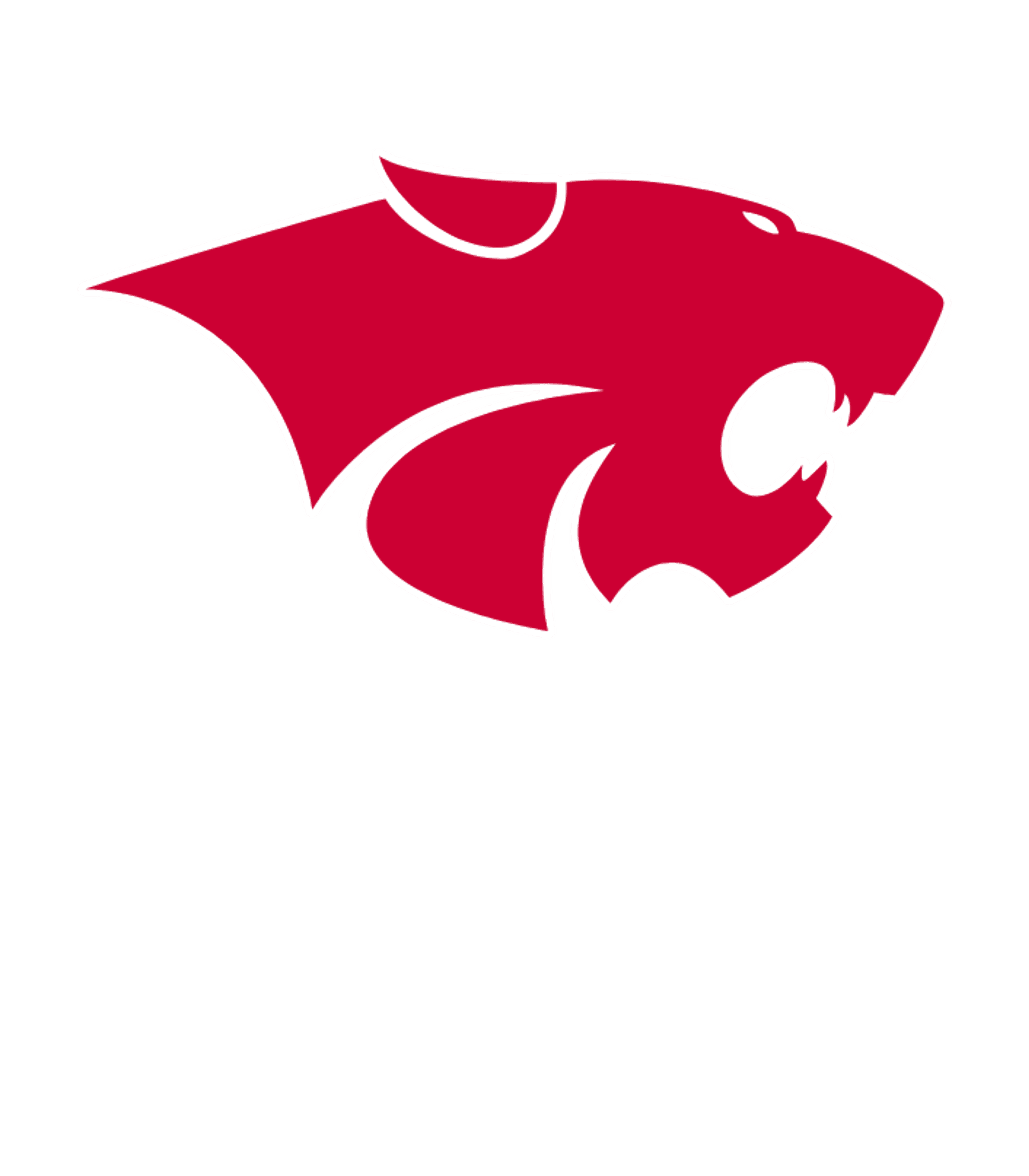 LINN HIGH Logo