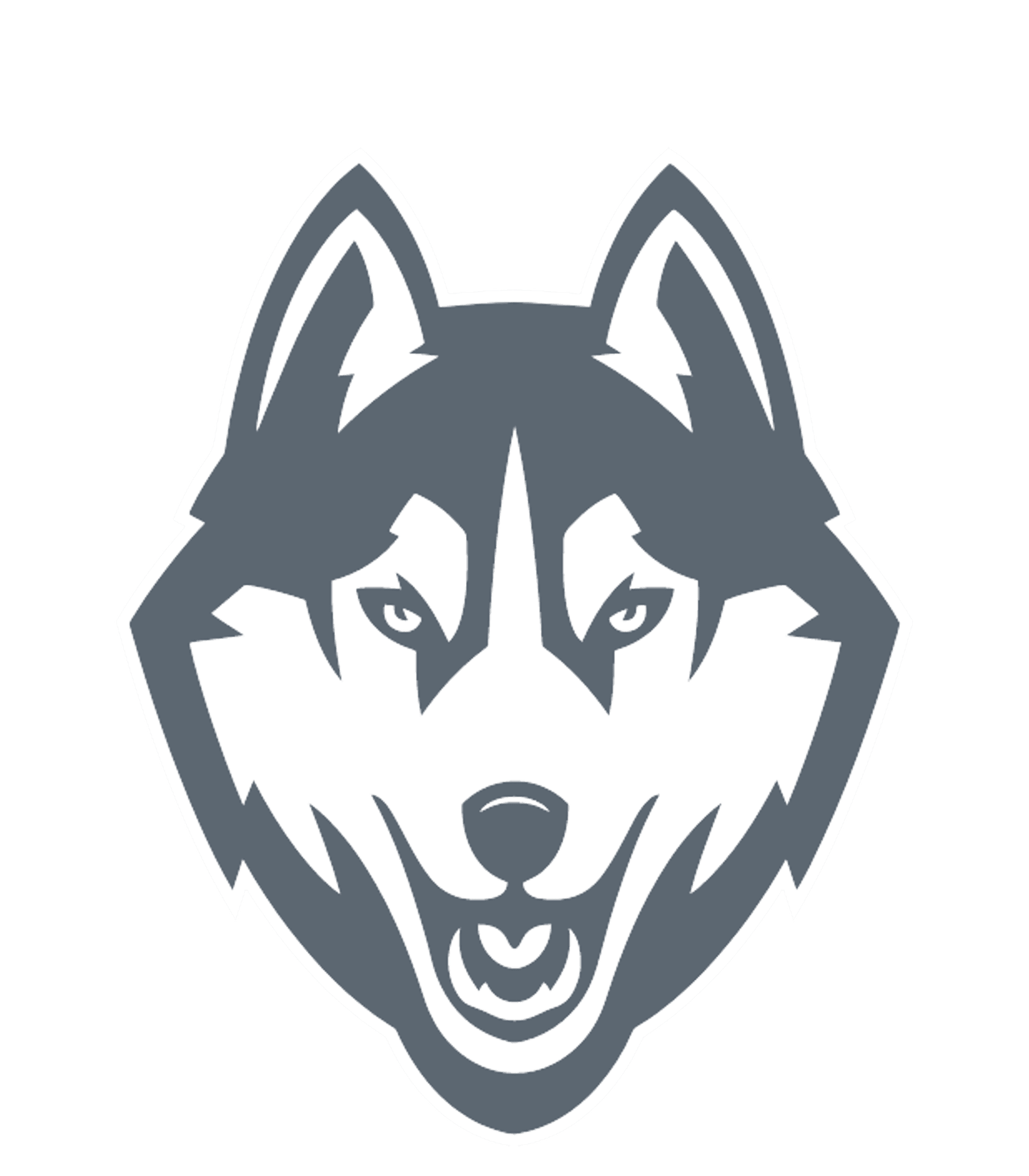Matawan Regional High School Logo