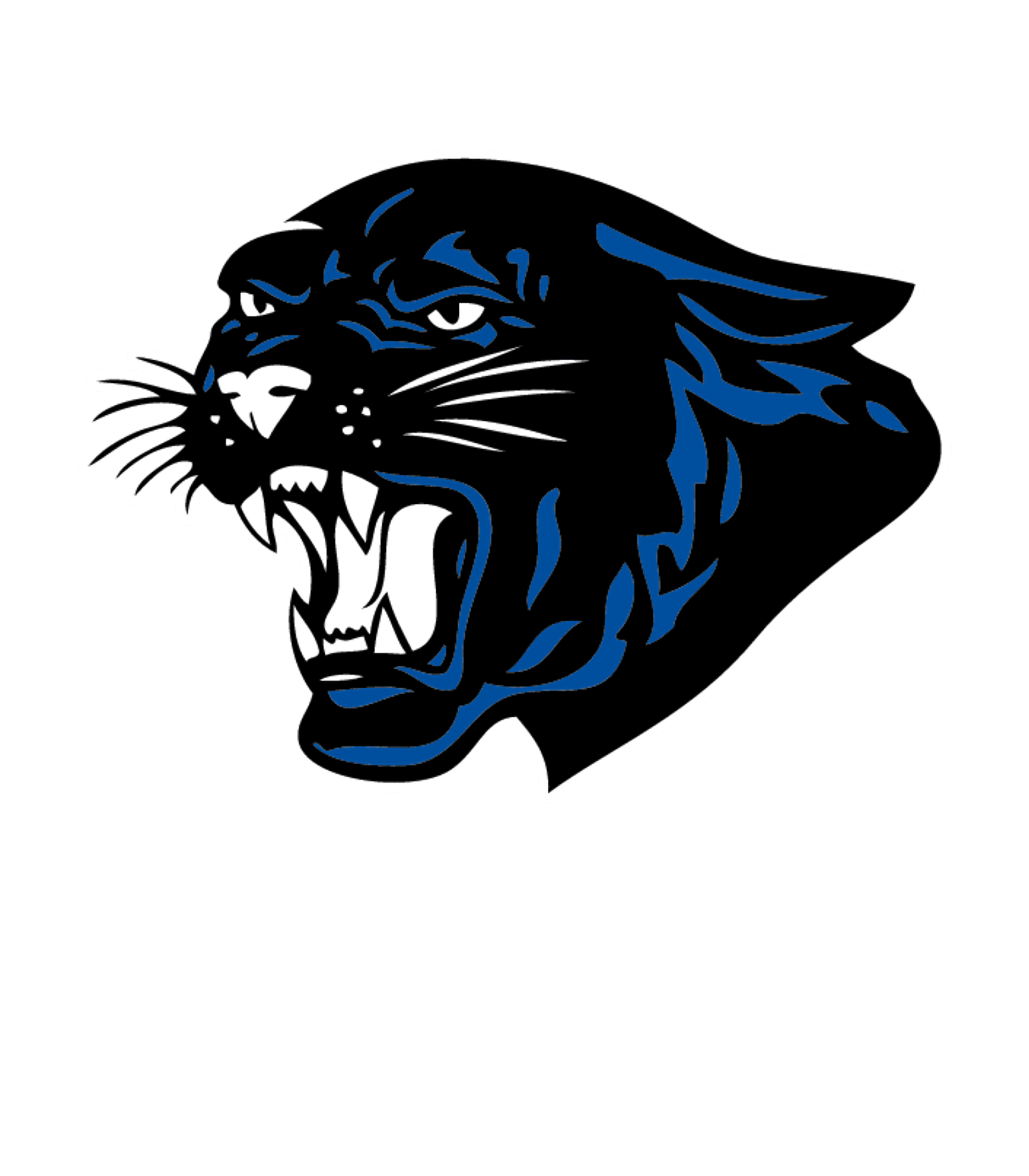 SOUTH RIDGE SECONDARY Logo