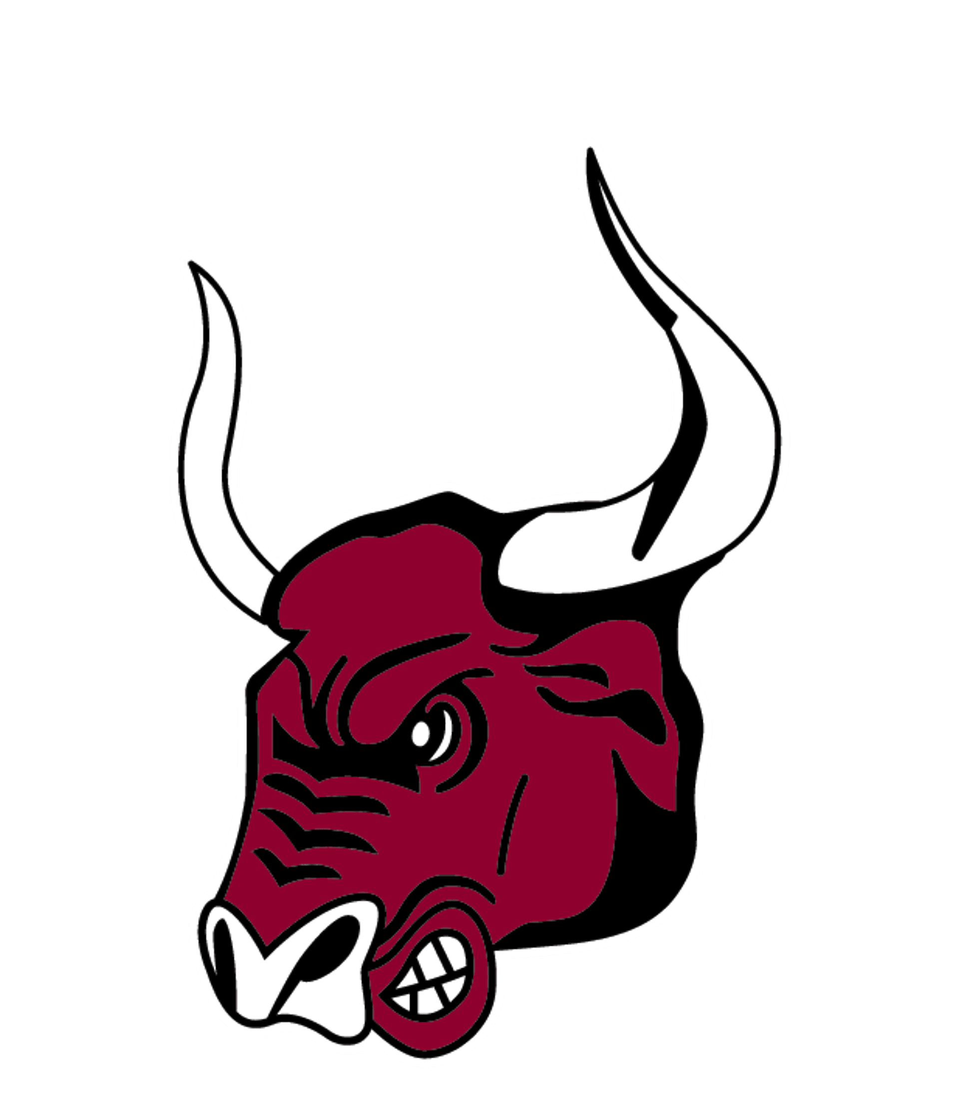 McCutcheon High School Logo
