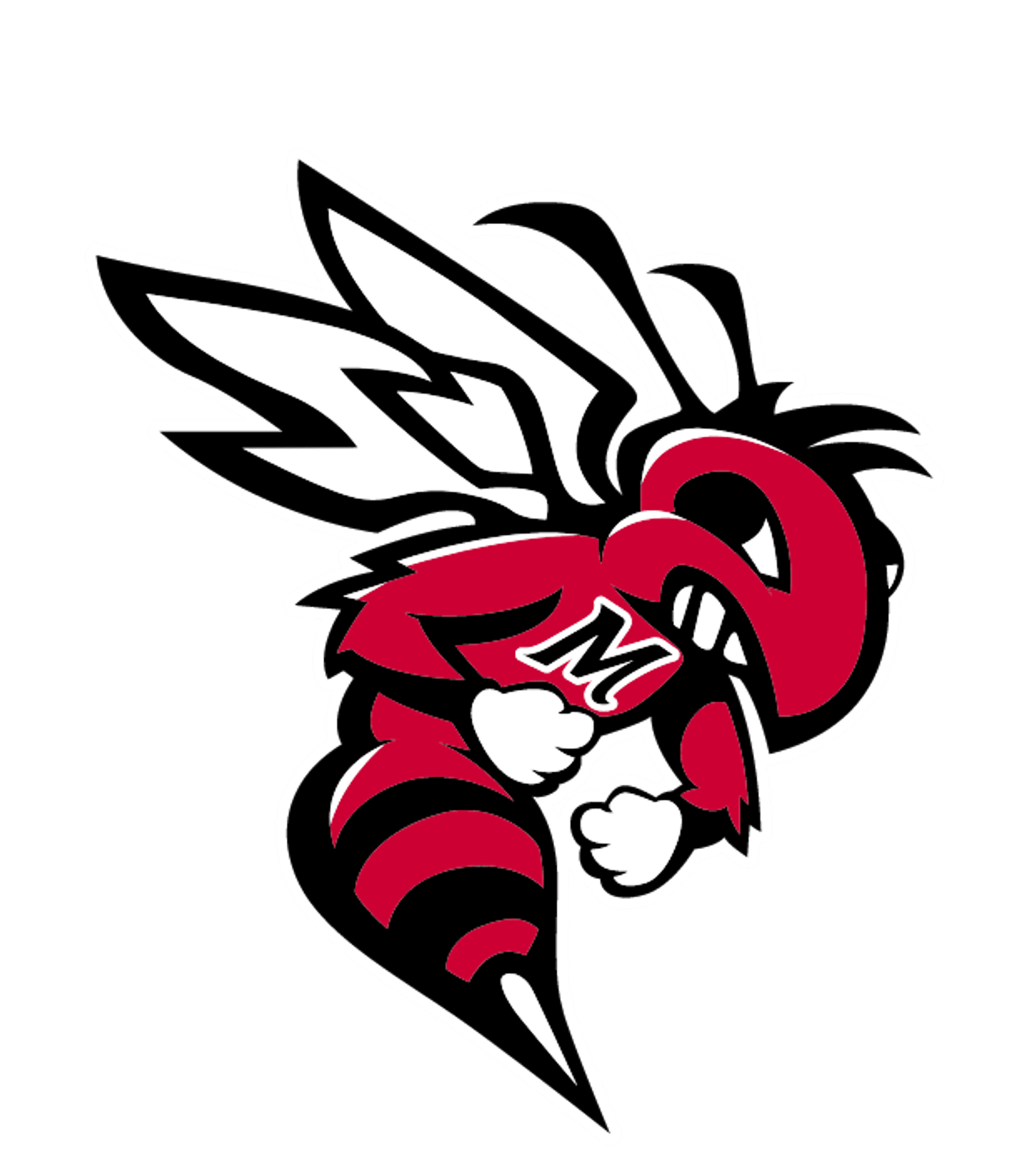 MAUMELLE CHARTER HIGH SCHOOL Logo