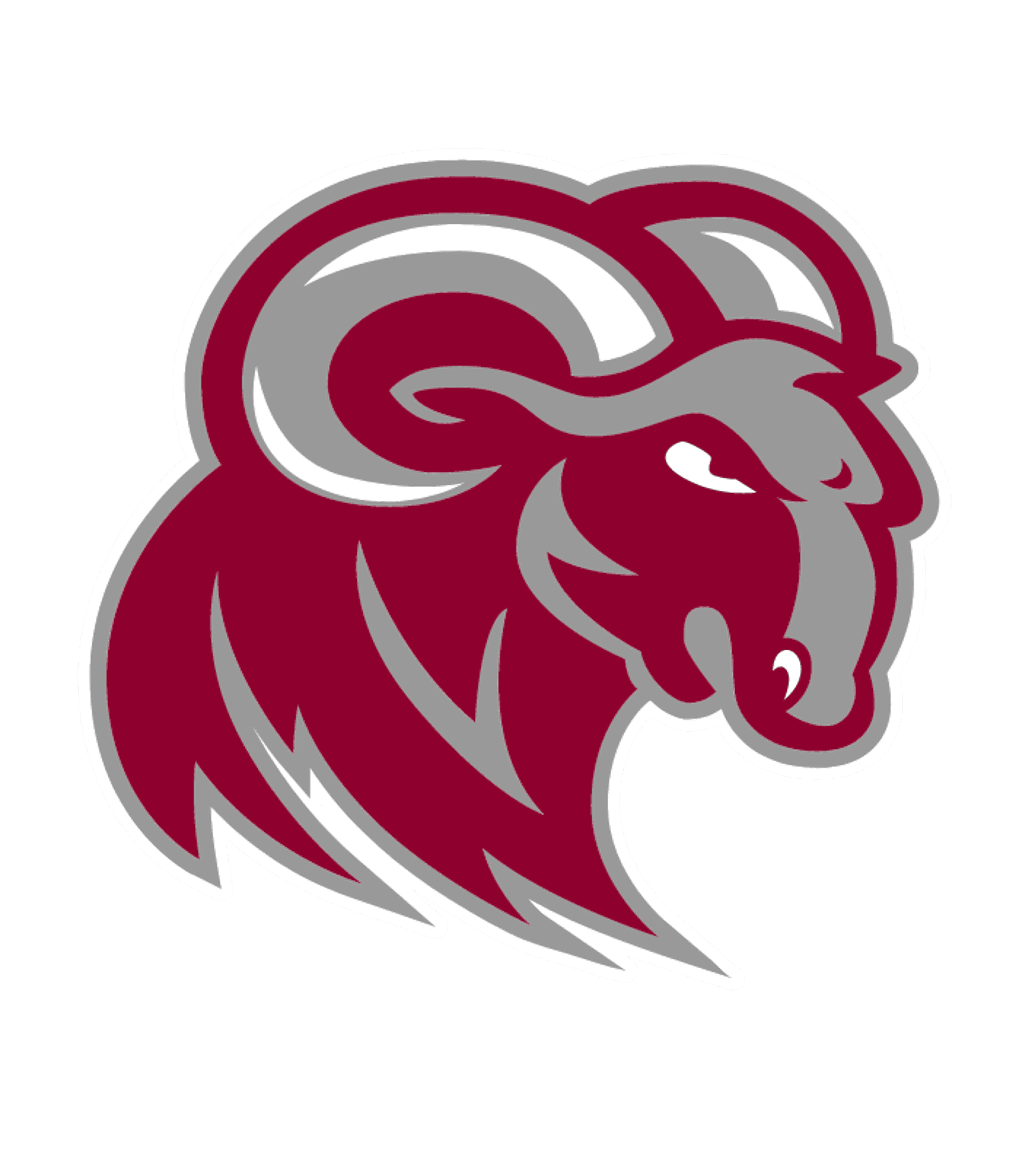 Merino Junior Senior High School Logo