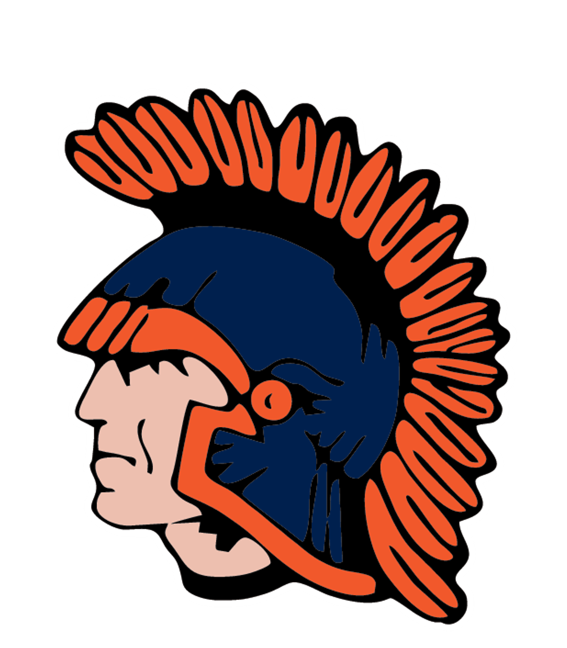 NASHWAUK-KEEWATIN ALP Logo