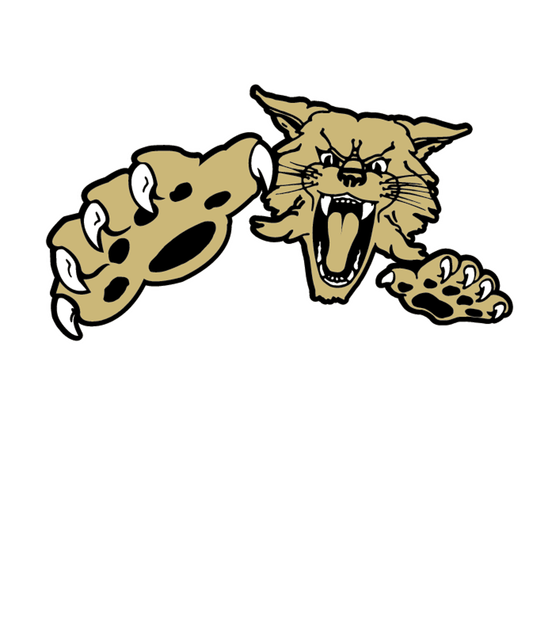 NATIVE - Chinle High School Logo